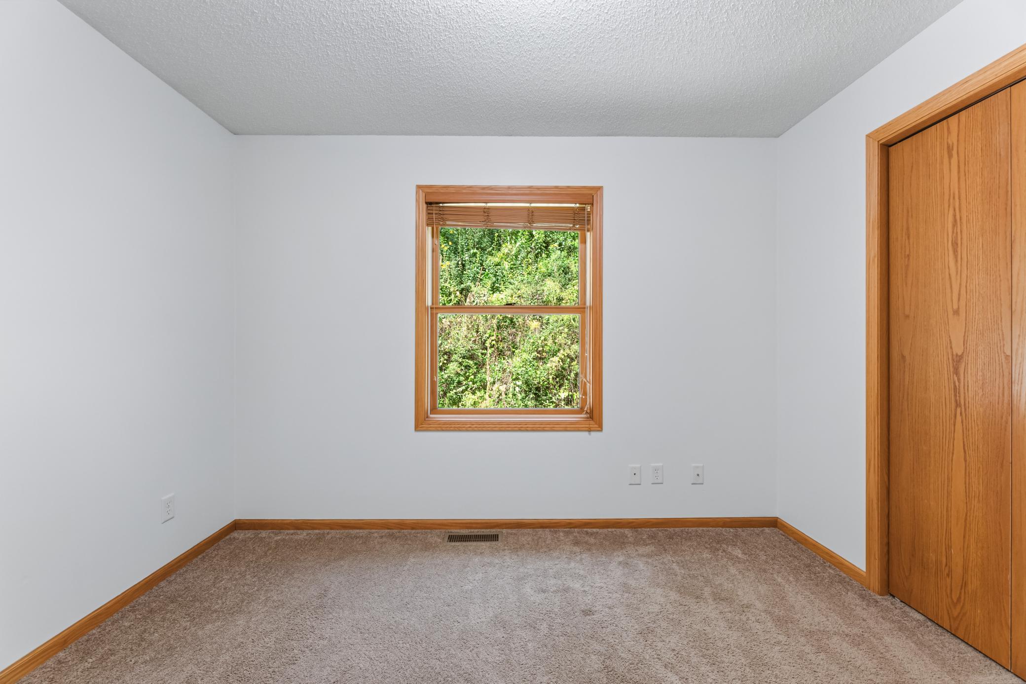 6648 Gonia Drive Property Photo 12