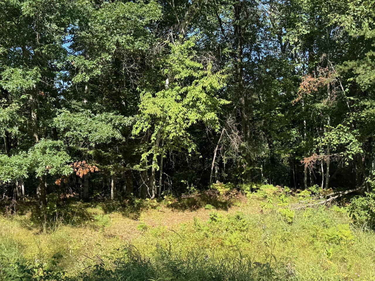 76617 Debbie Ridge Road Property Photo 3