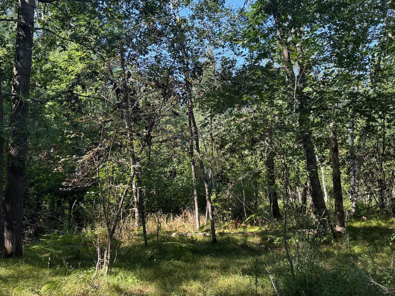 76617 Debbie Ridge Road Property Photo 4