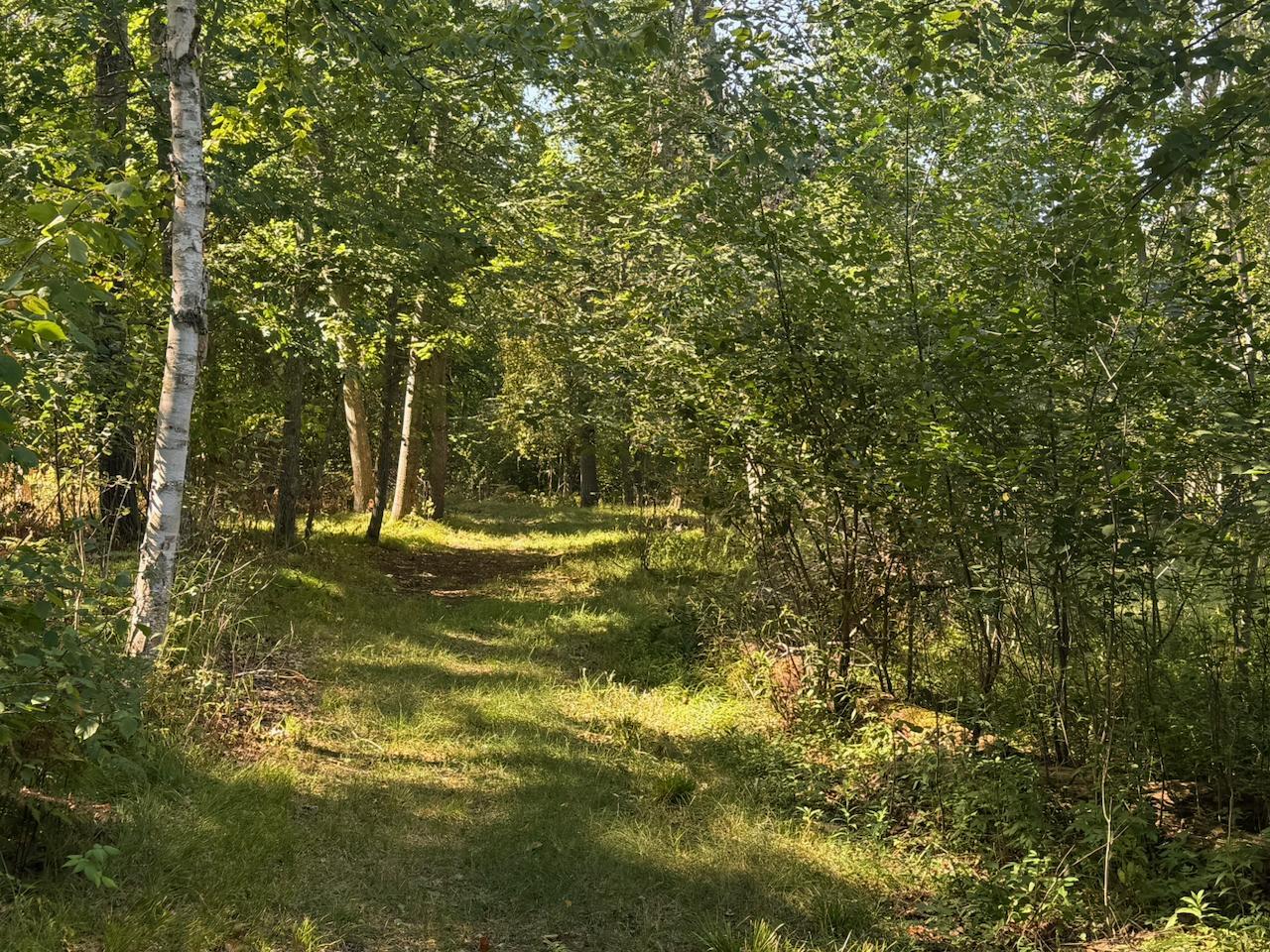 76617 Debbie Ridge Road Property Photo 6