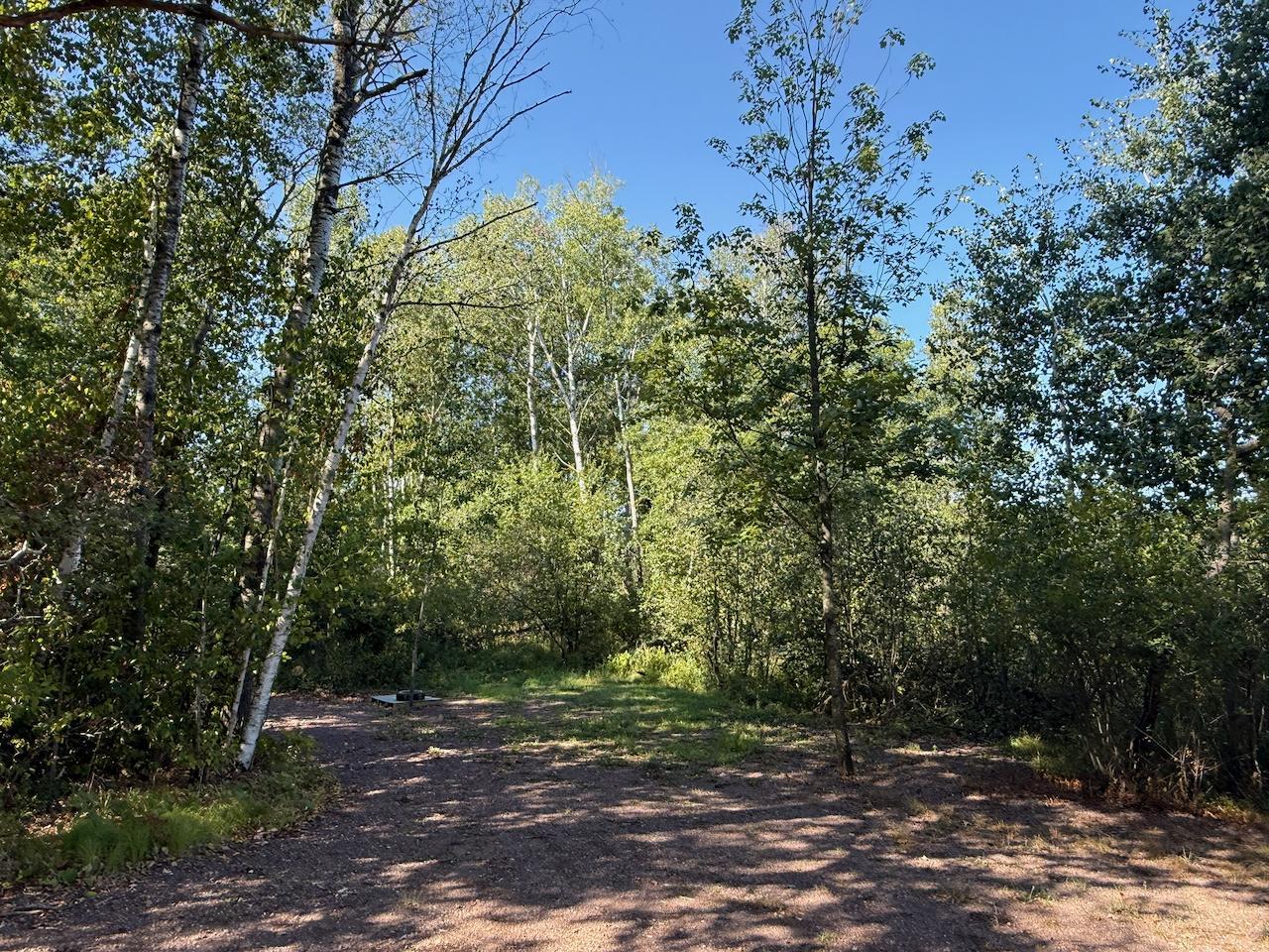 76617 Debbie Ridge Road Property Photo 21