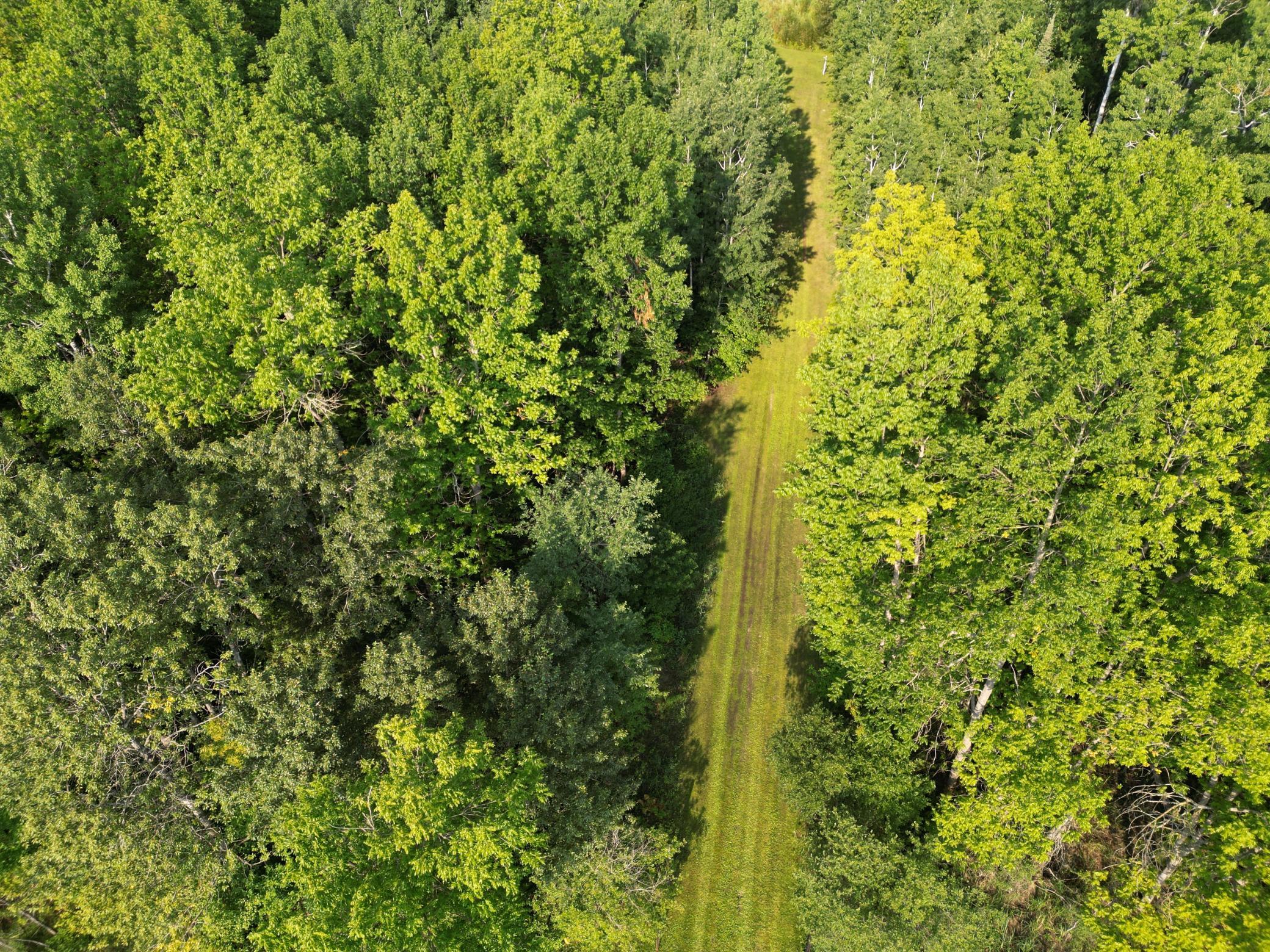 4161 County Road 9 Property Photo 4