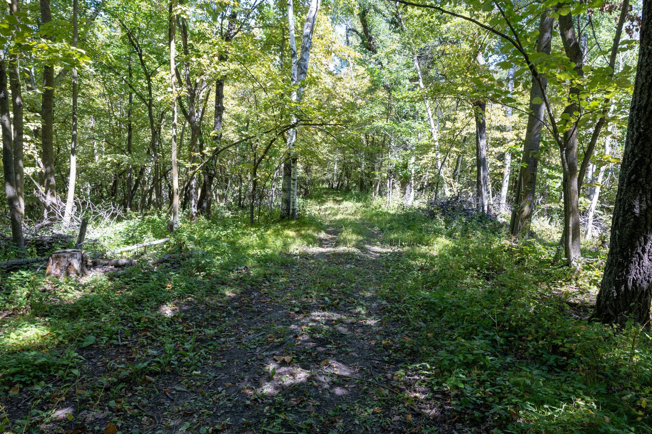 15977 State Highway 34 Property Photo 7