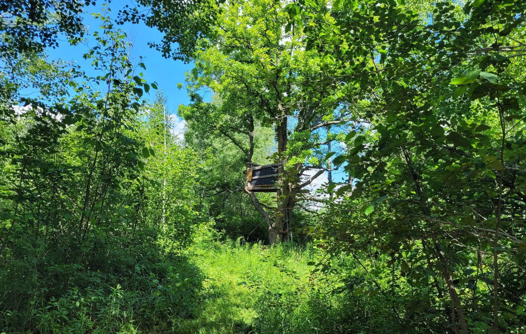 Tbd 150th Property Photo 27