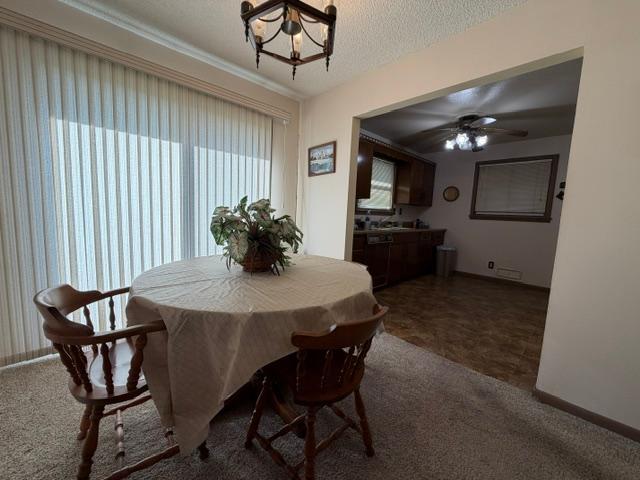16 Beech Court Property Photo 8