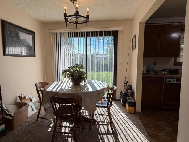 16 Beech Court Property Photo 9
