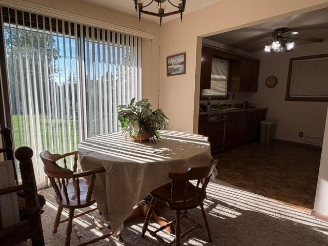 16 Beech Court Property Photo 10