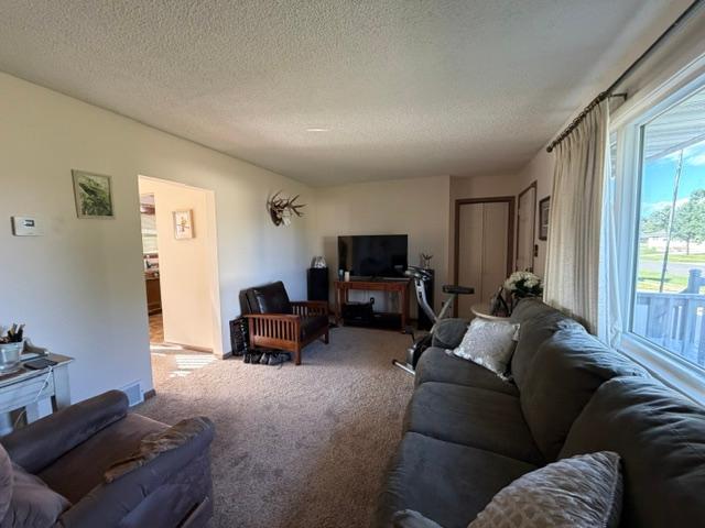 16 Beech Court Property Photo 12