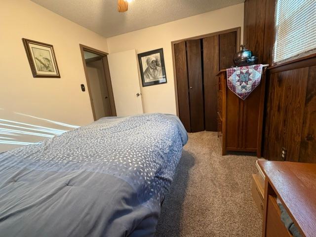 16 Beech Court Property Photo 13
