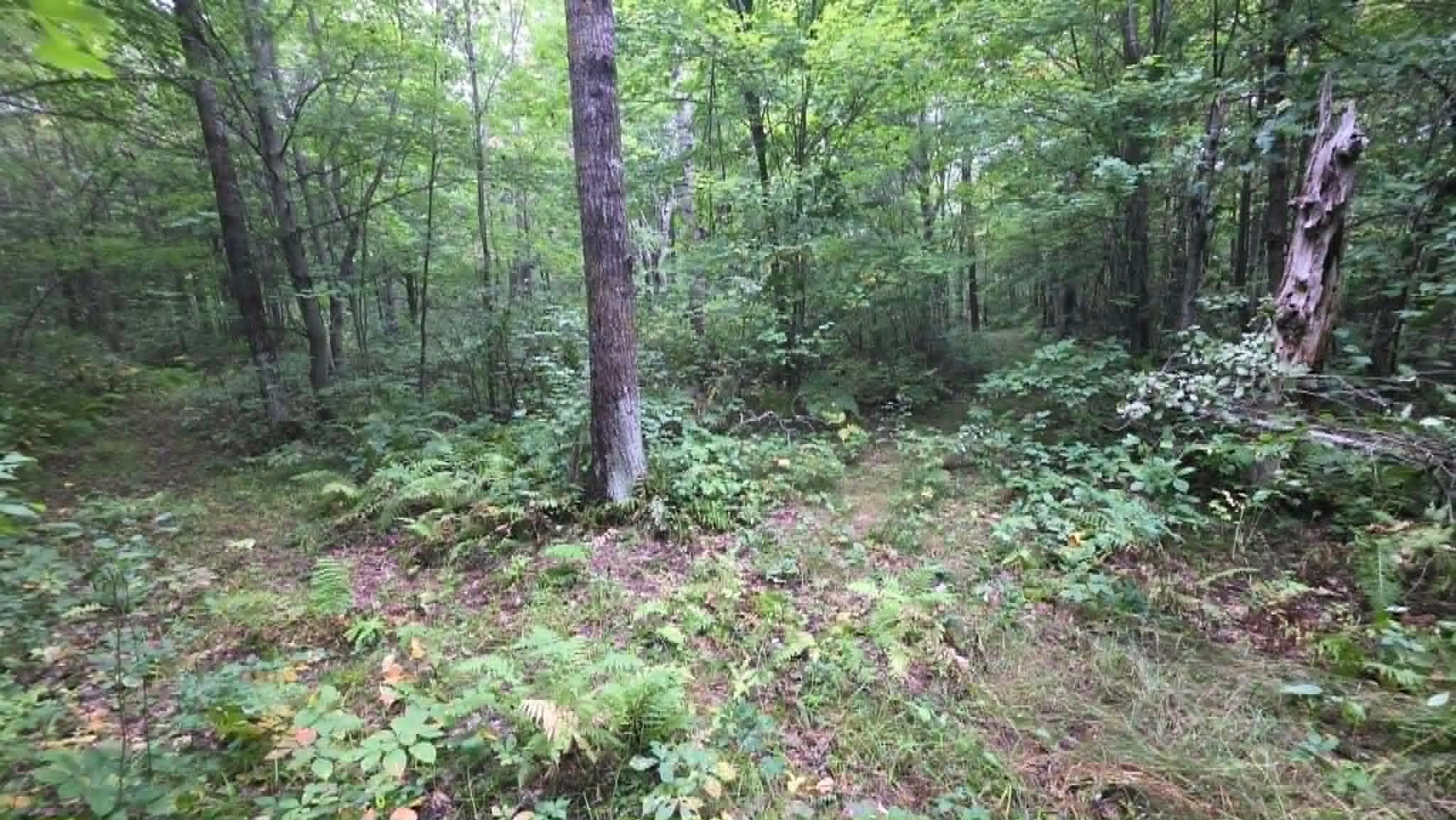 10501 N County Hwy M Highway Property Photo 23