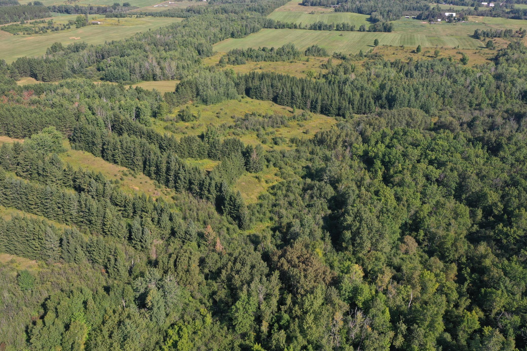 Tbd Hwy 2 Property Photo 4