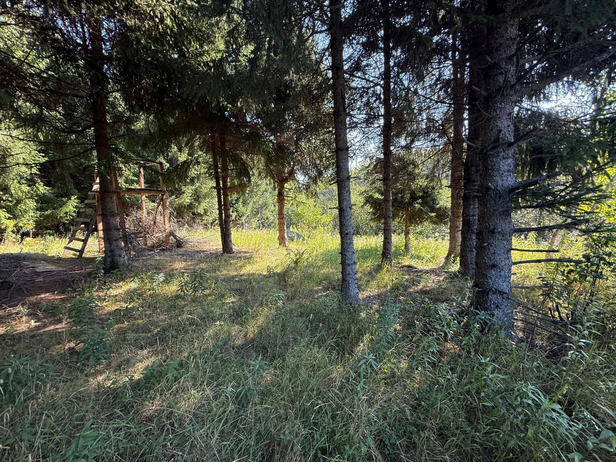 Tbd Hwy 2 Property Photo 14