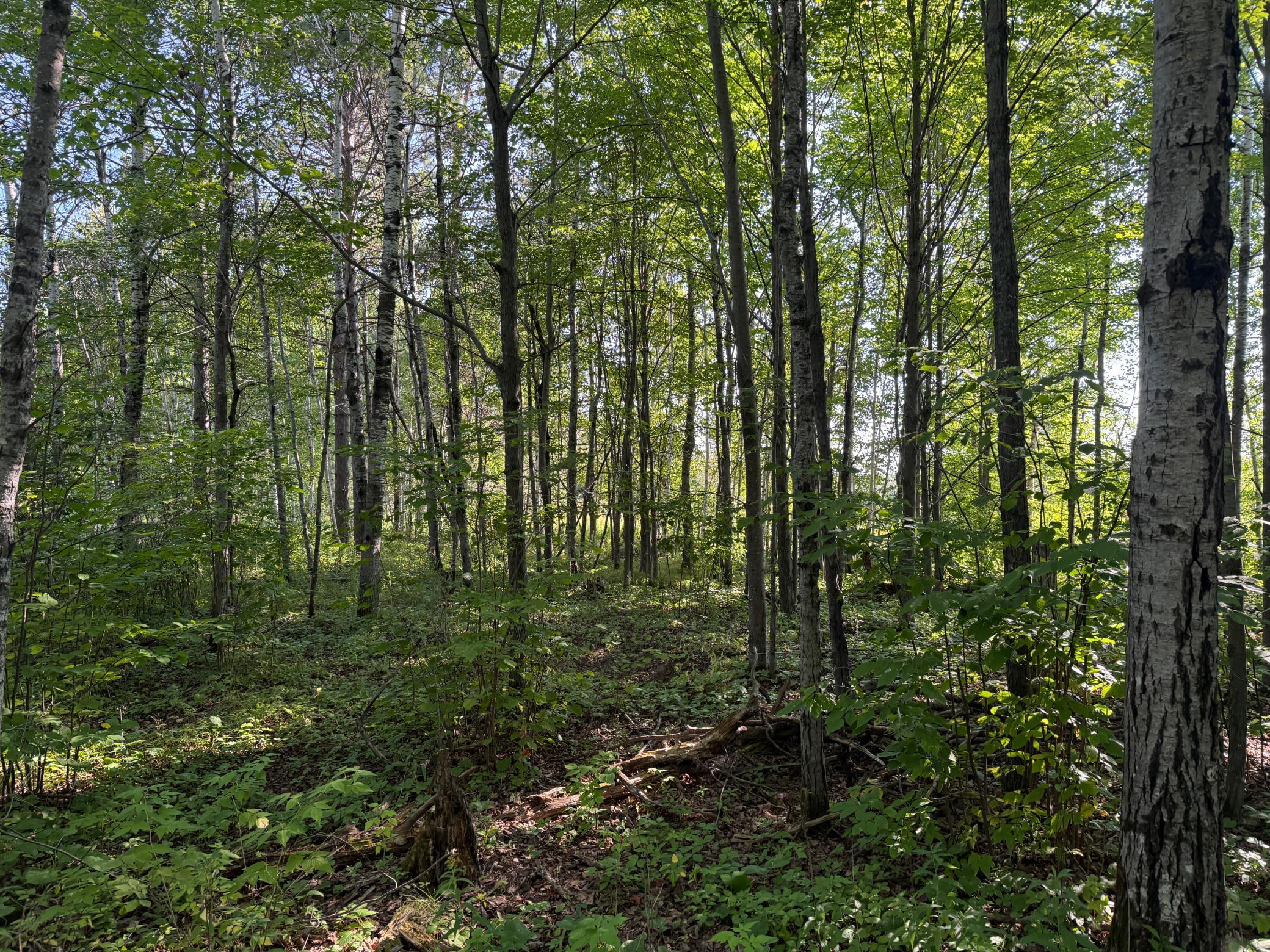 Tbd Hwy 2 Property Photo 15