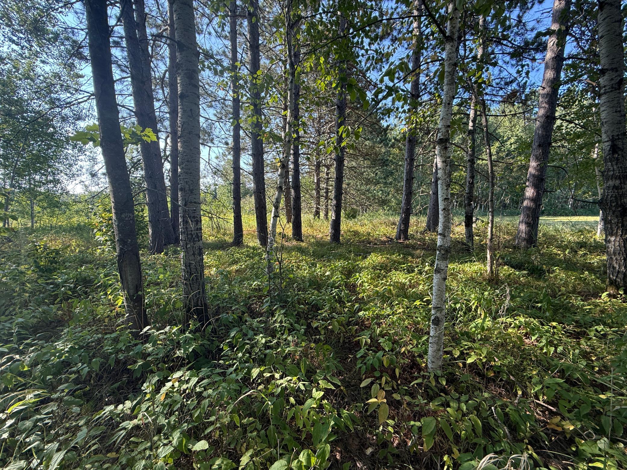 Tbd Hwy 2 Property Photo 16