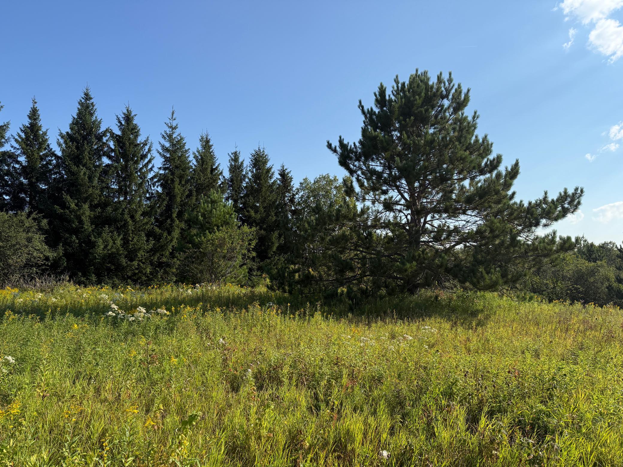 Tbd Hwy 2 Property Photo 19