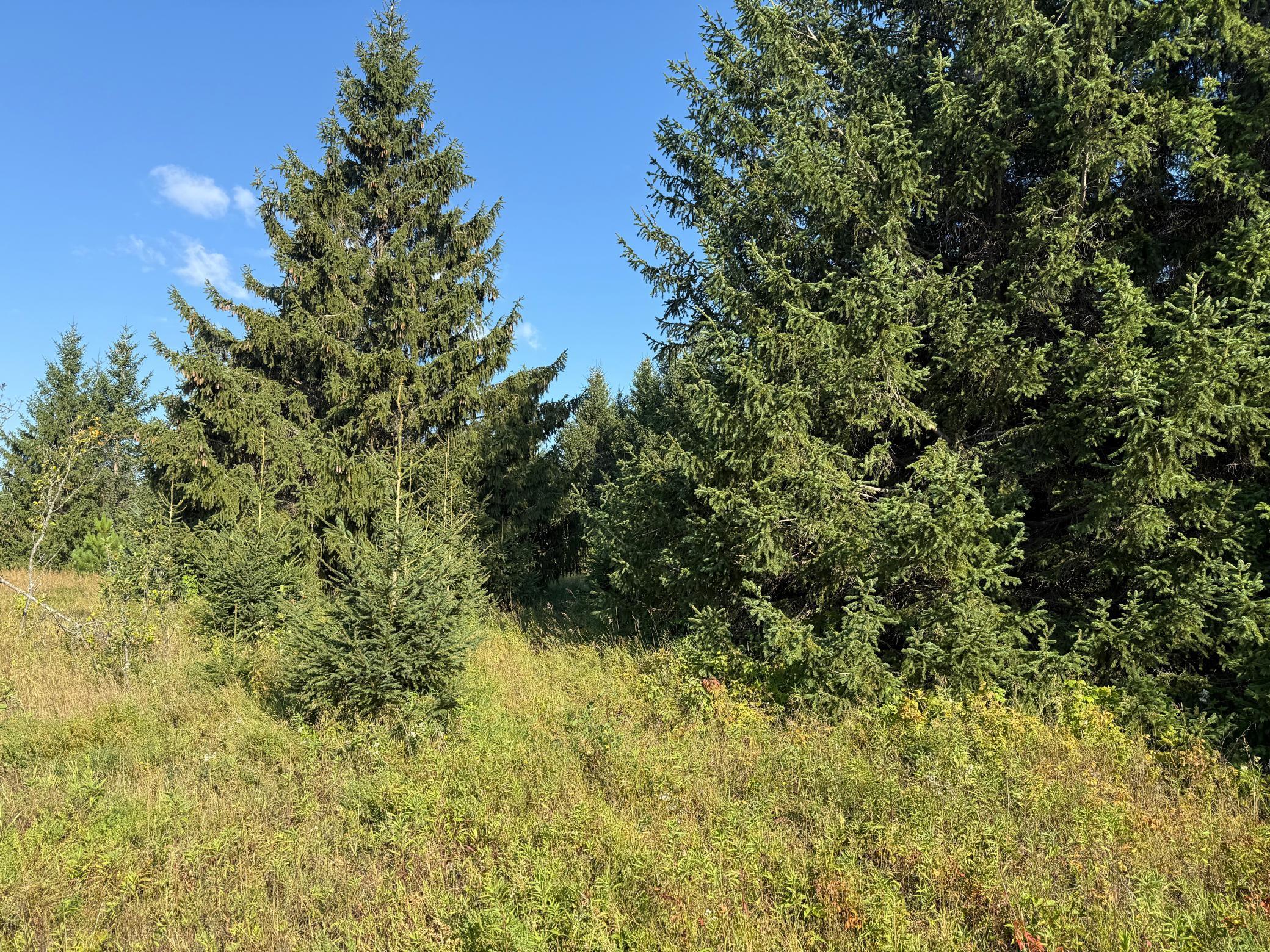 Tbd Hwy 2 Property Photo 20