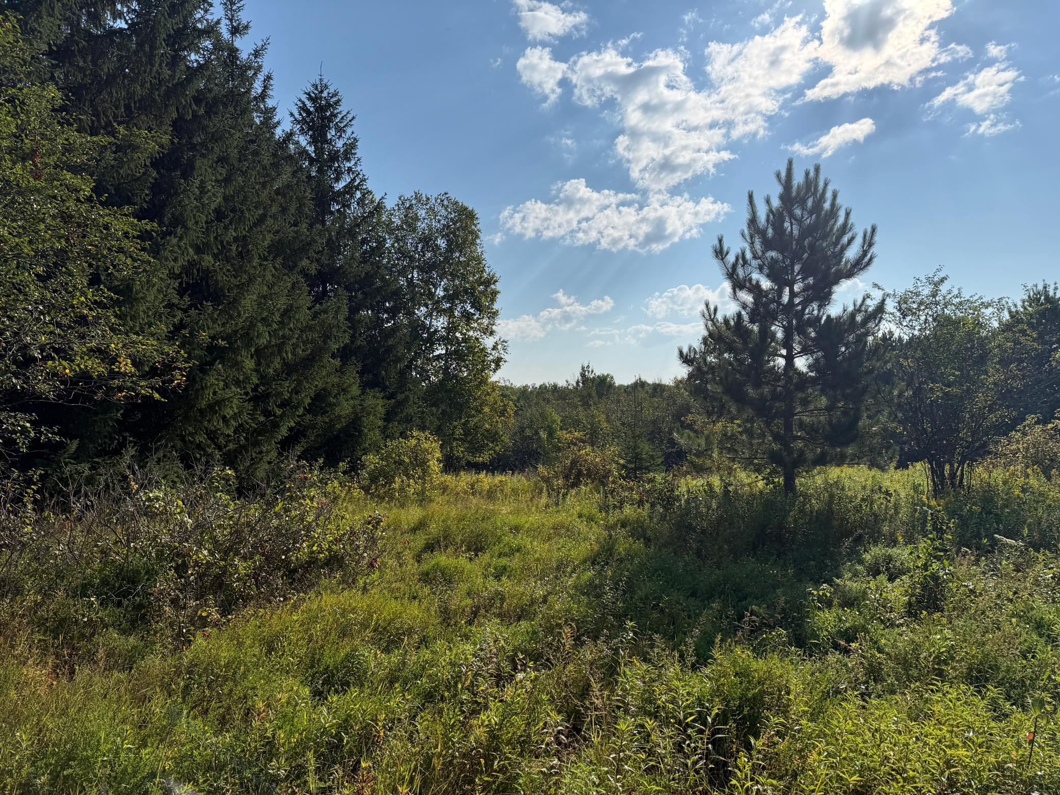 Tbd Hwy 2 Property Photo 21