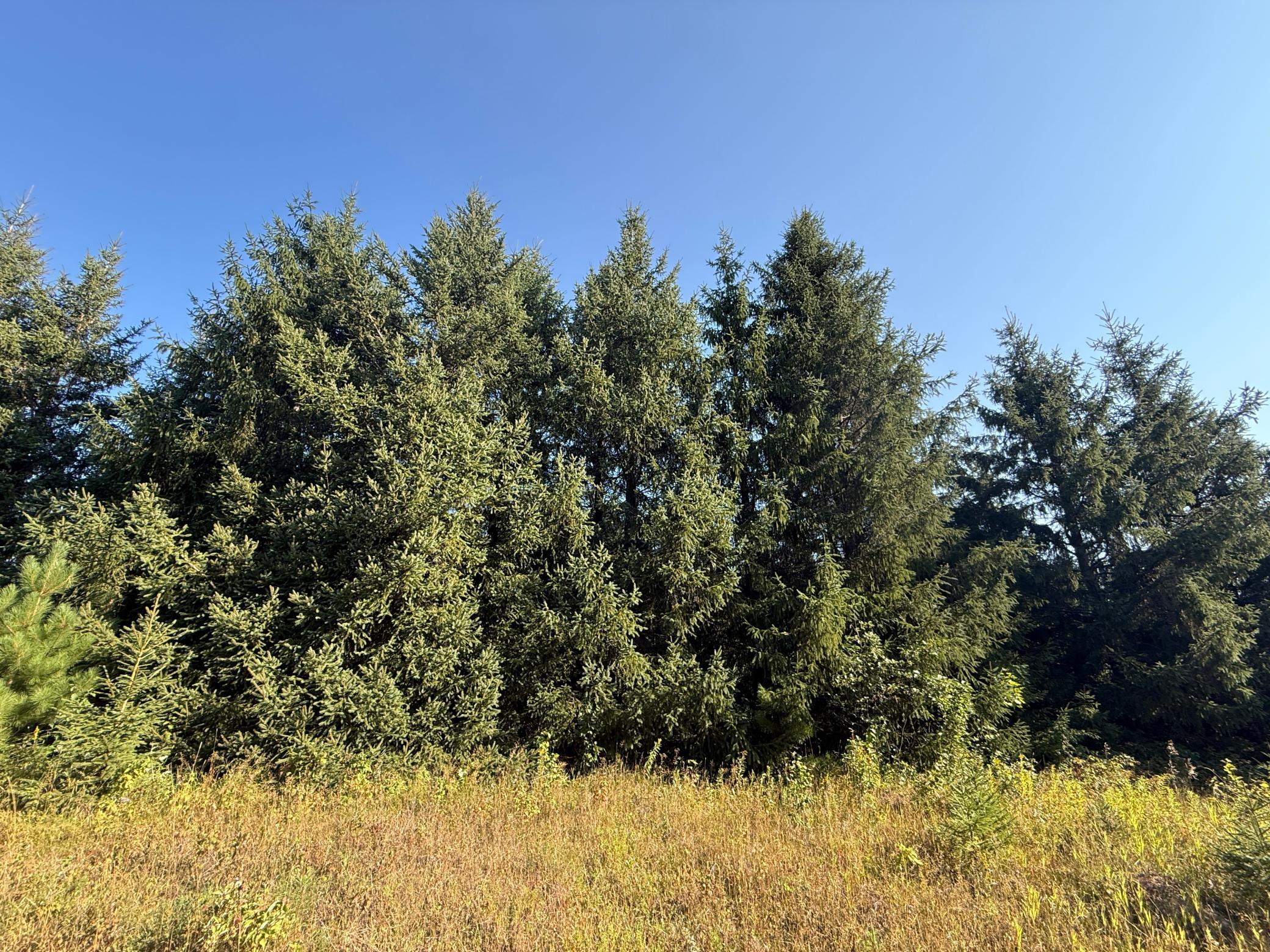 Tbd Hwy 2 Property Photo 23