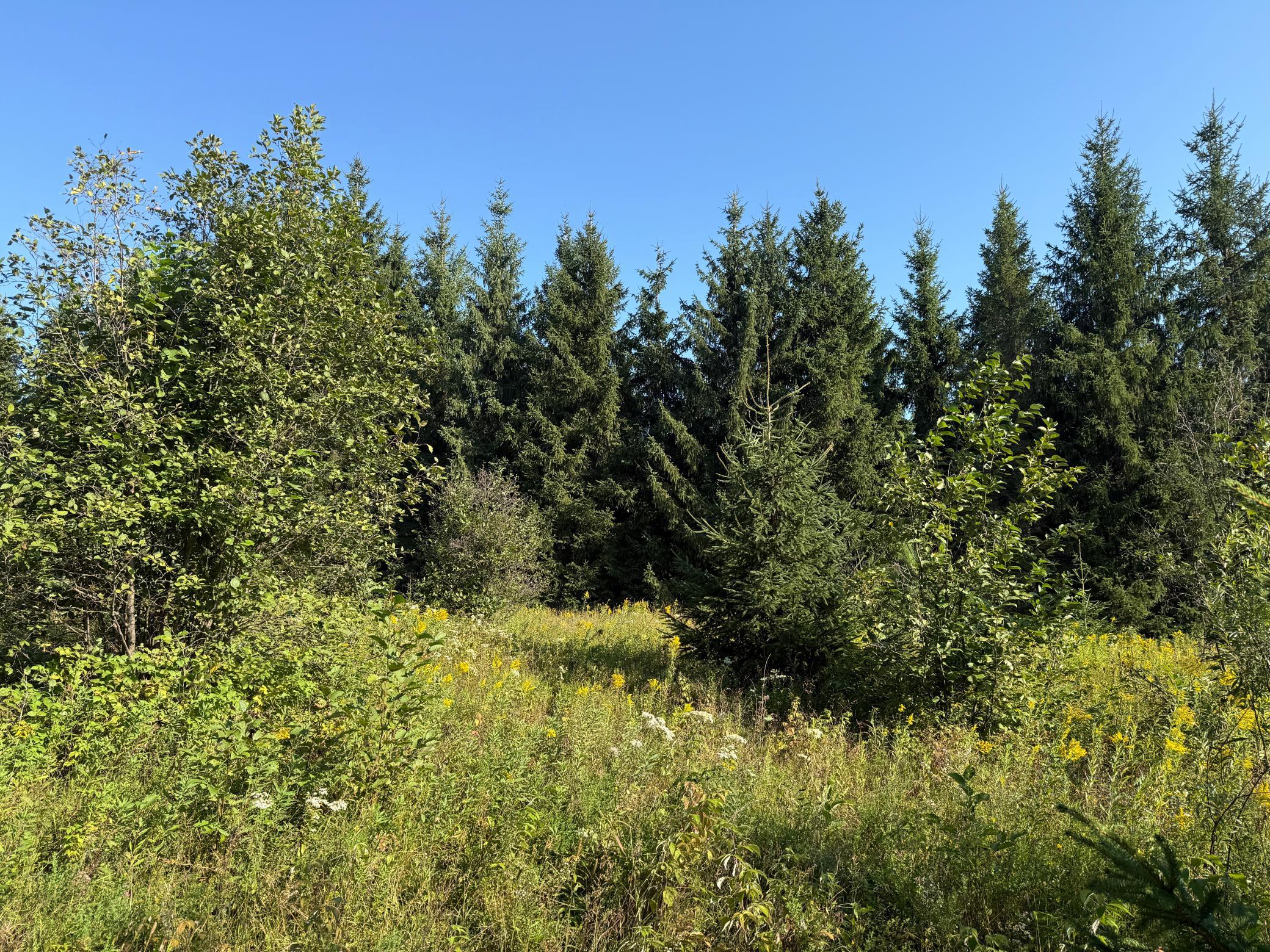 Tbd Hwy 2 Property Photo 24
