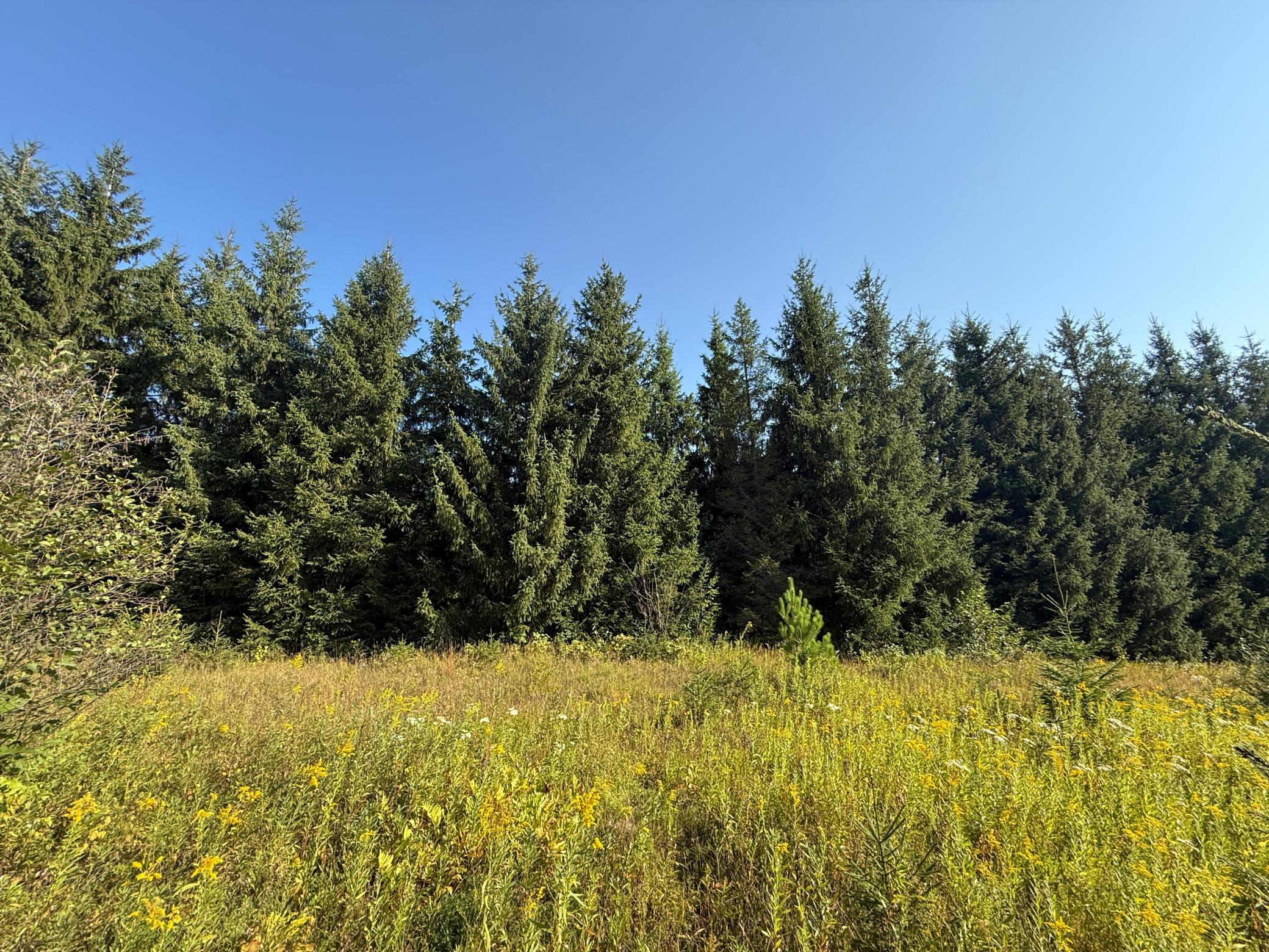 Tbd Hwy 2 Property Photo 25