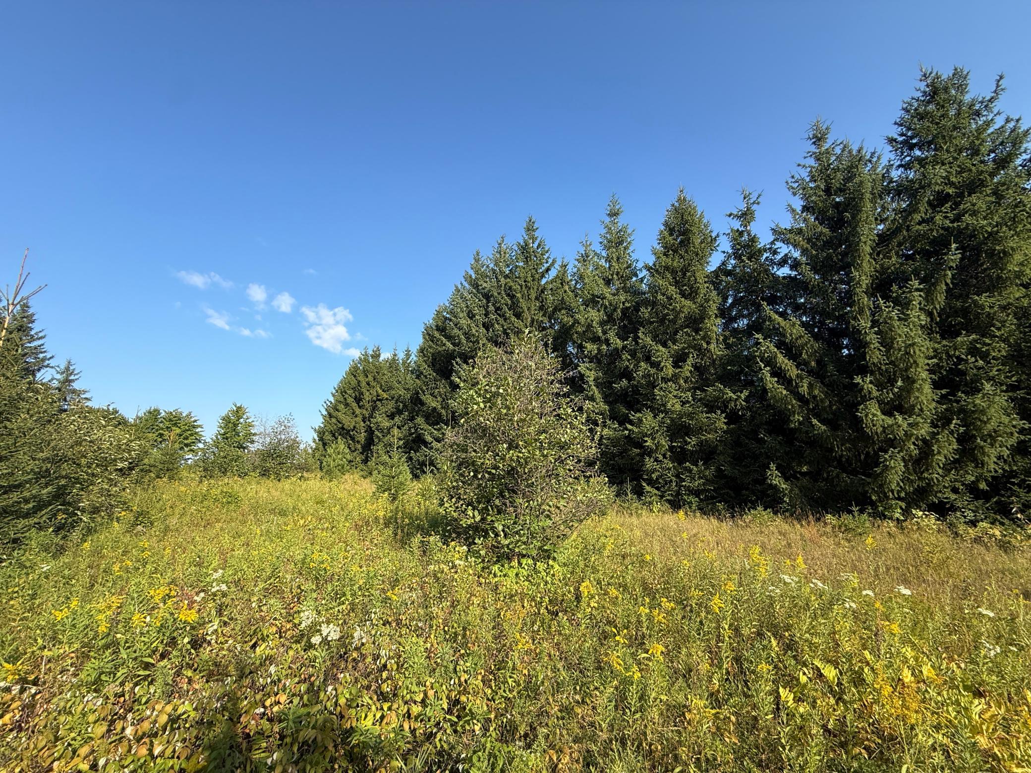 Tbd Hwy 2 Property Photo 26