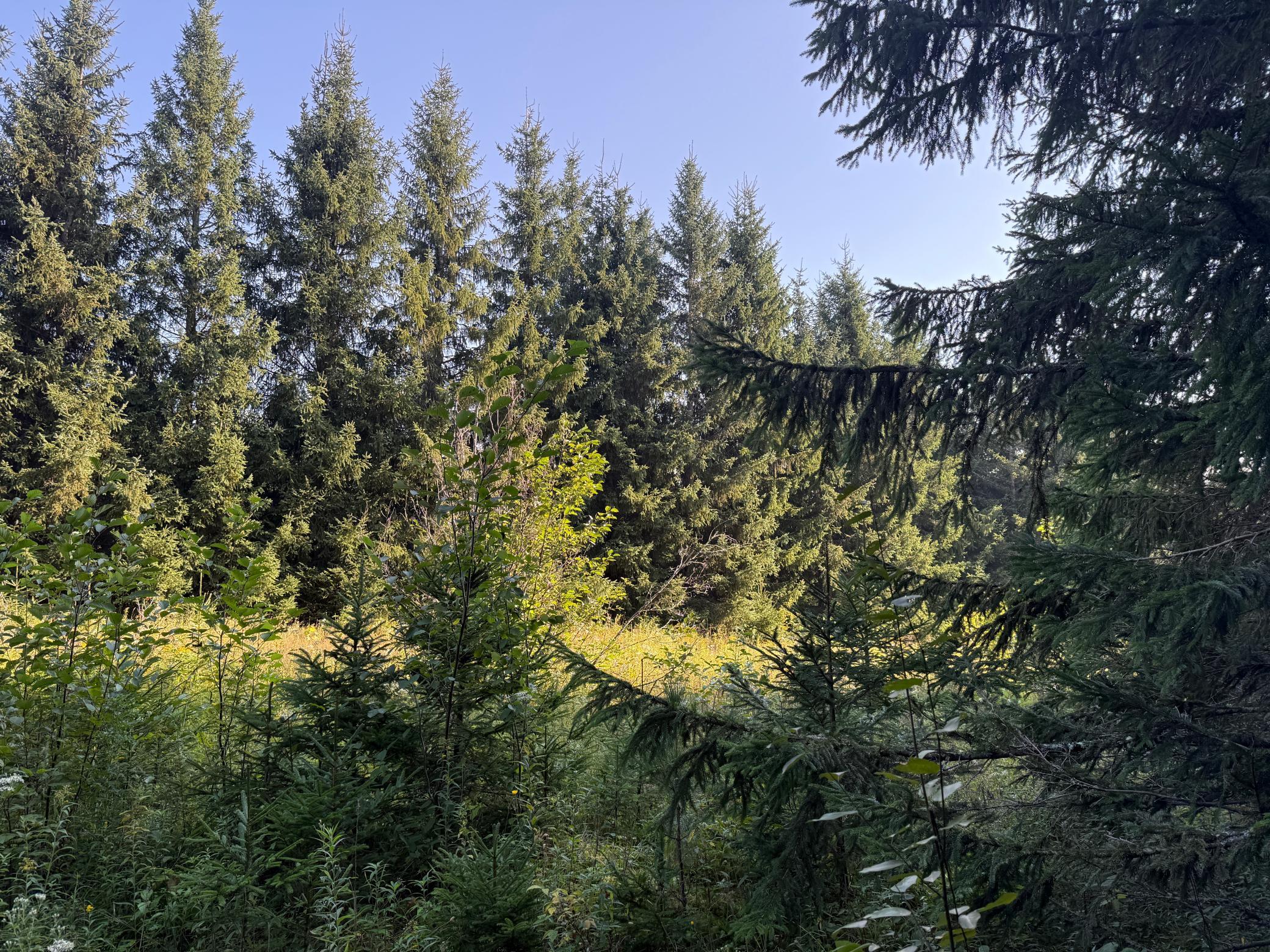 Tbd Hwy 2 Property Photo 28