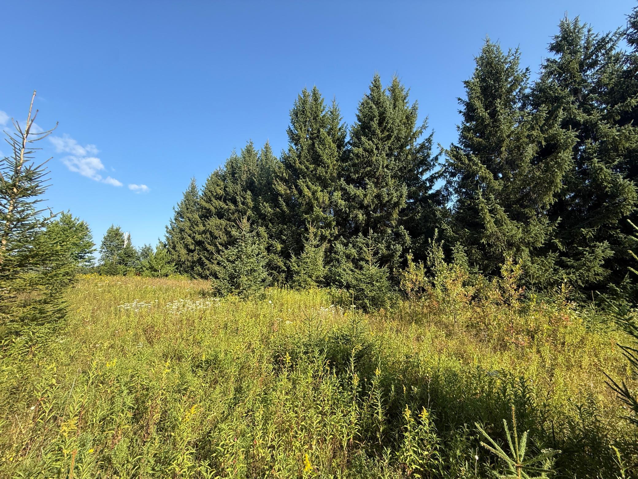 Tbd Hwy 2 Property Photo 29