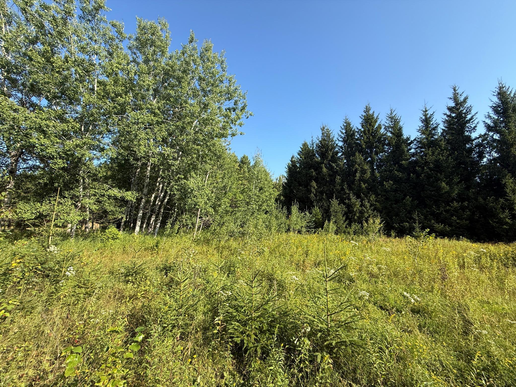 Tbd Hwy 2 Property Photo 30