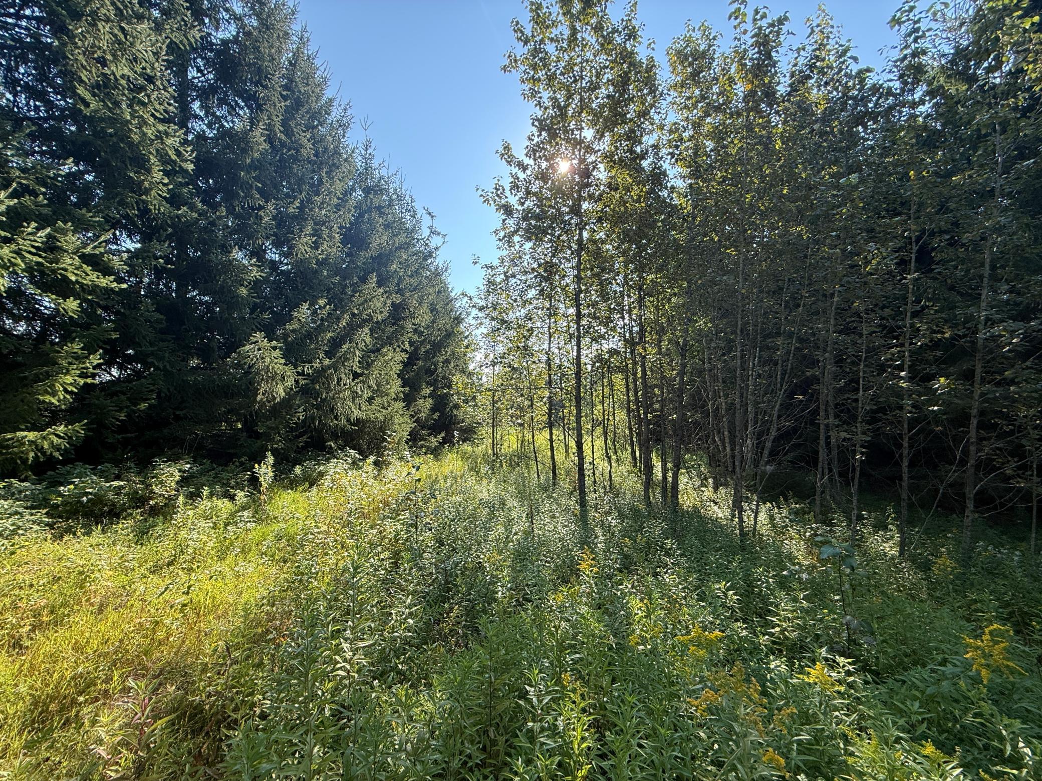 Tbd Hwy 2 Property Photo 31