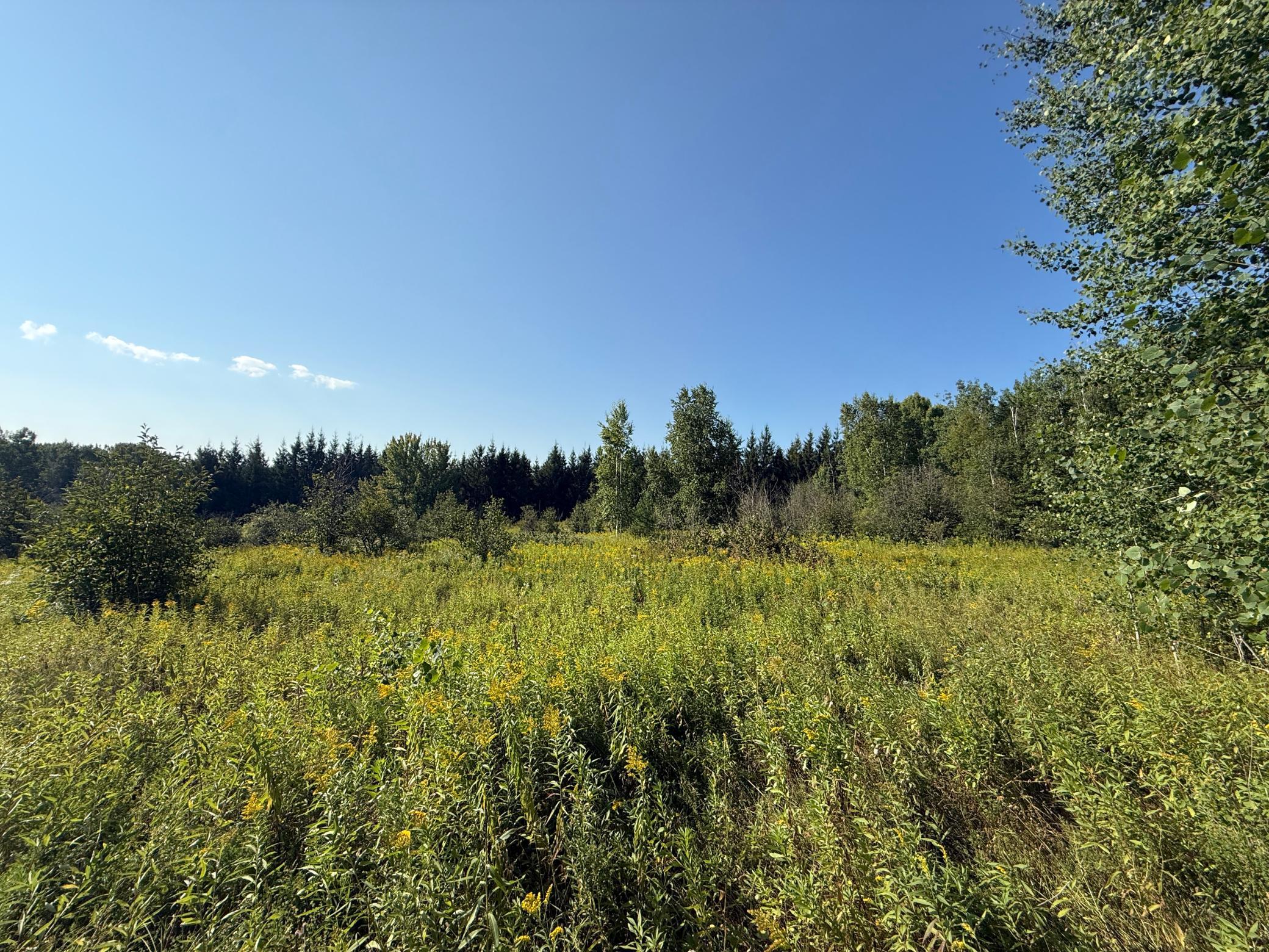 Tbd Hwy 2 Property Photo 43