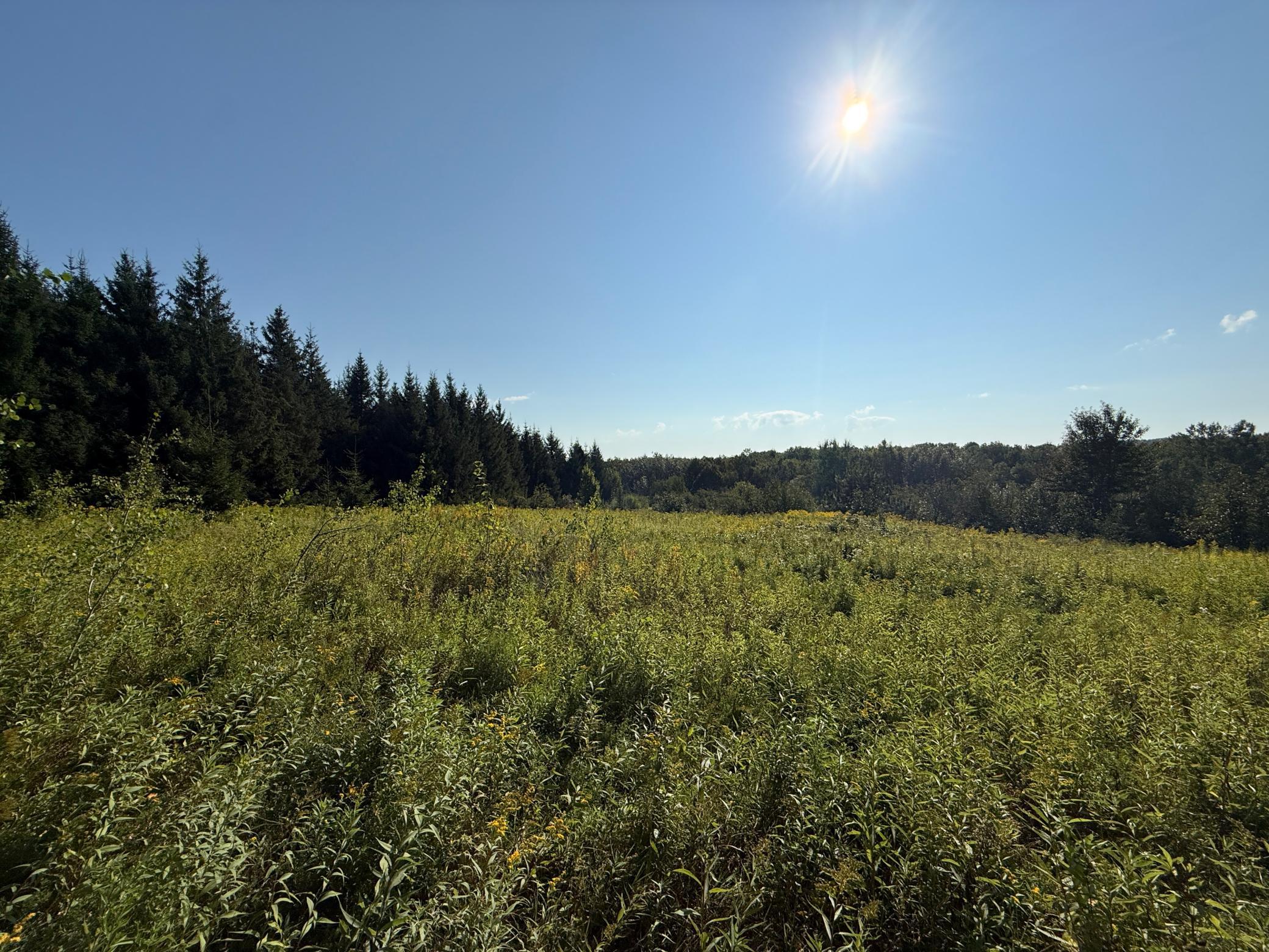 Tbd Hwy 2 Property Photo 44