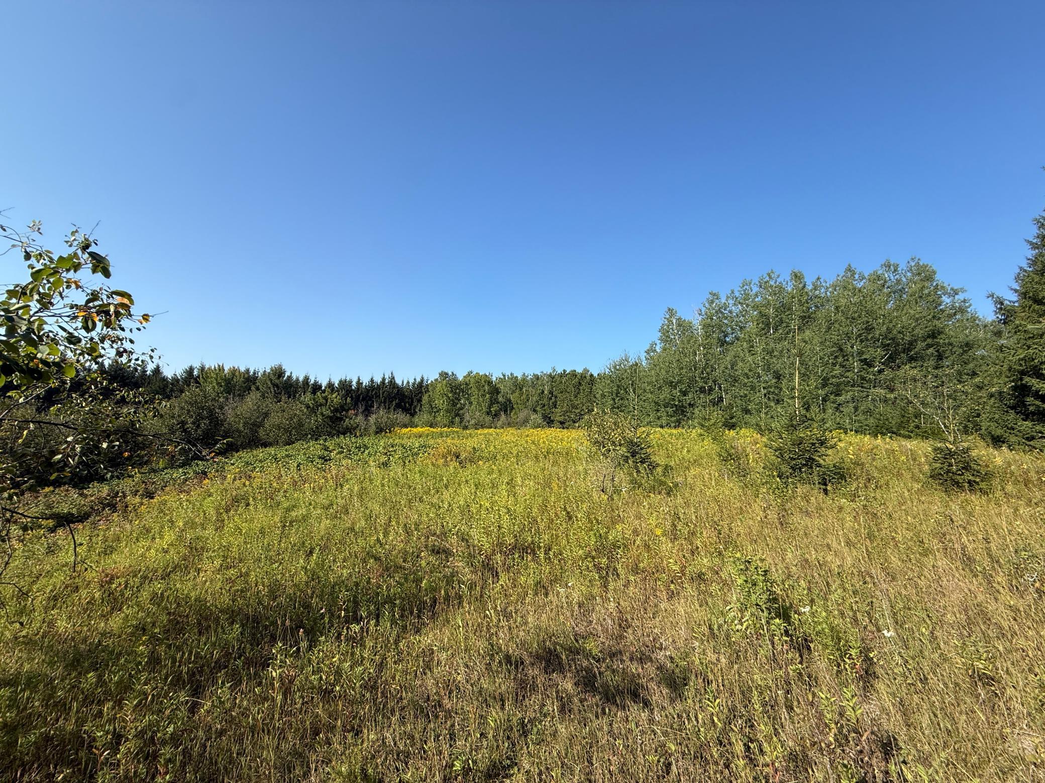 Tbd Hwy 2 Property Photo 45