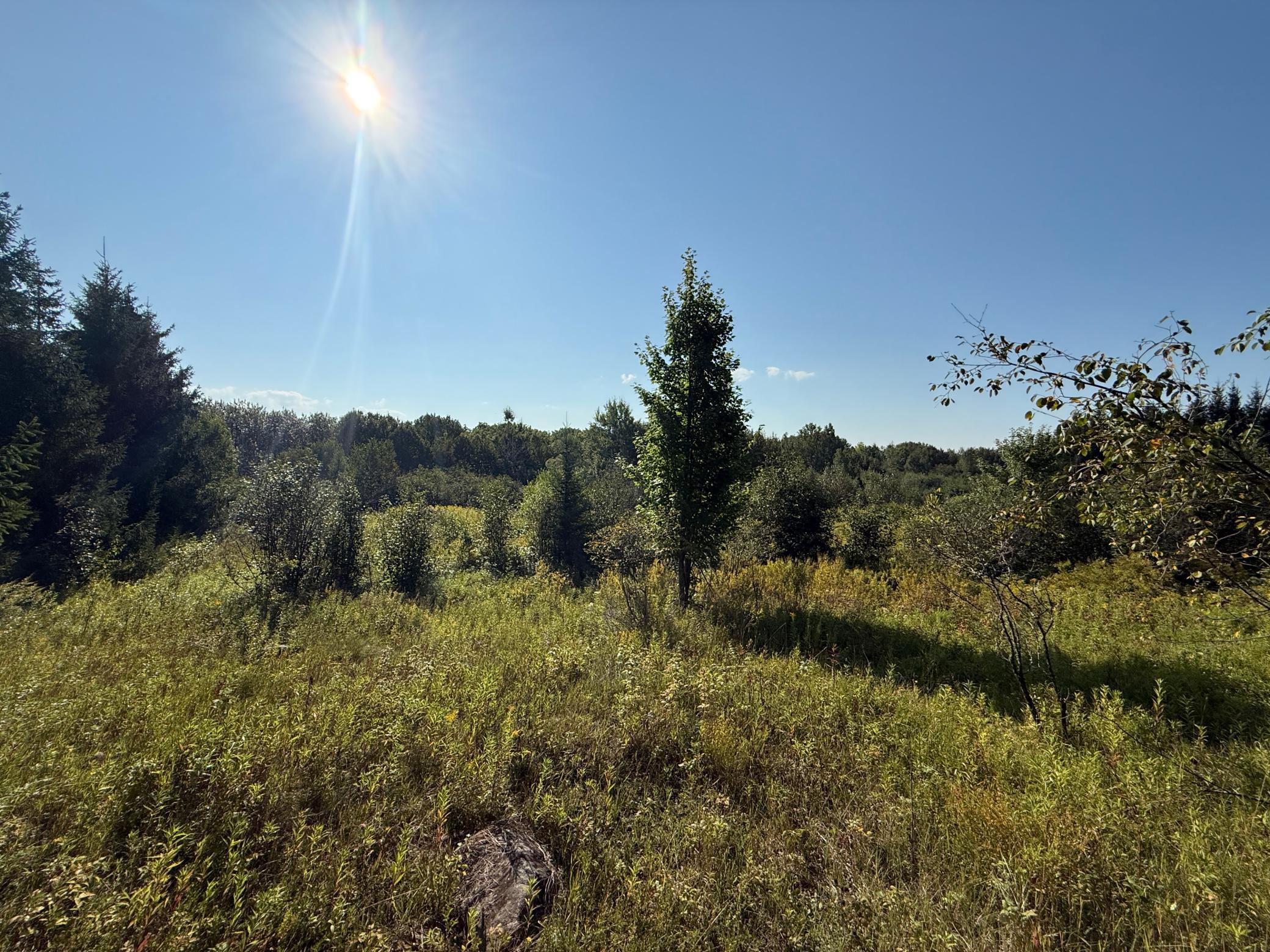Tbd Hwy 2 Property Photo 46