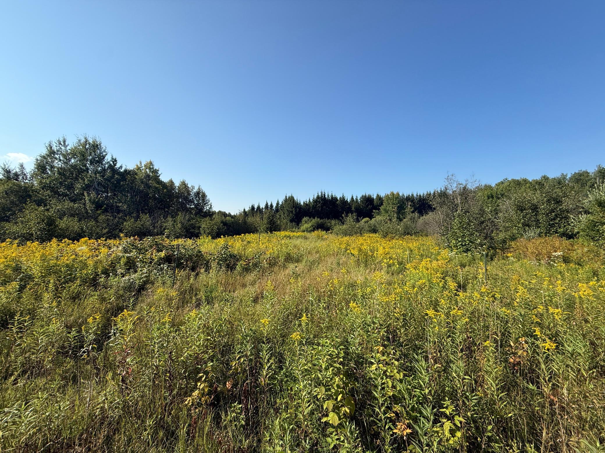 Tbd Hwy 2 Property Photo 47