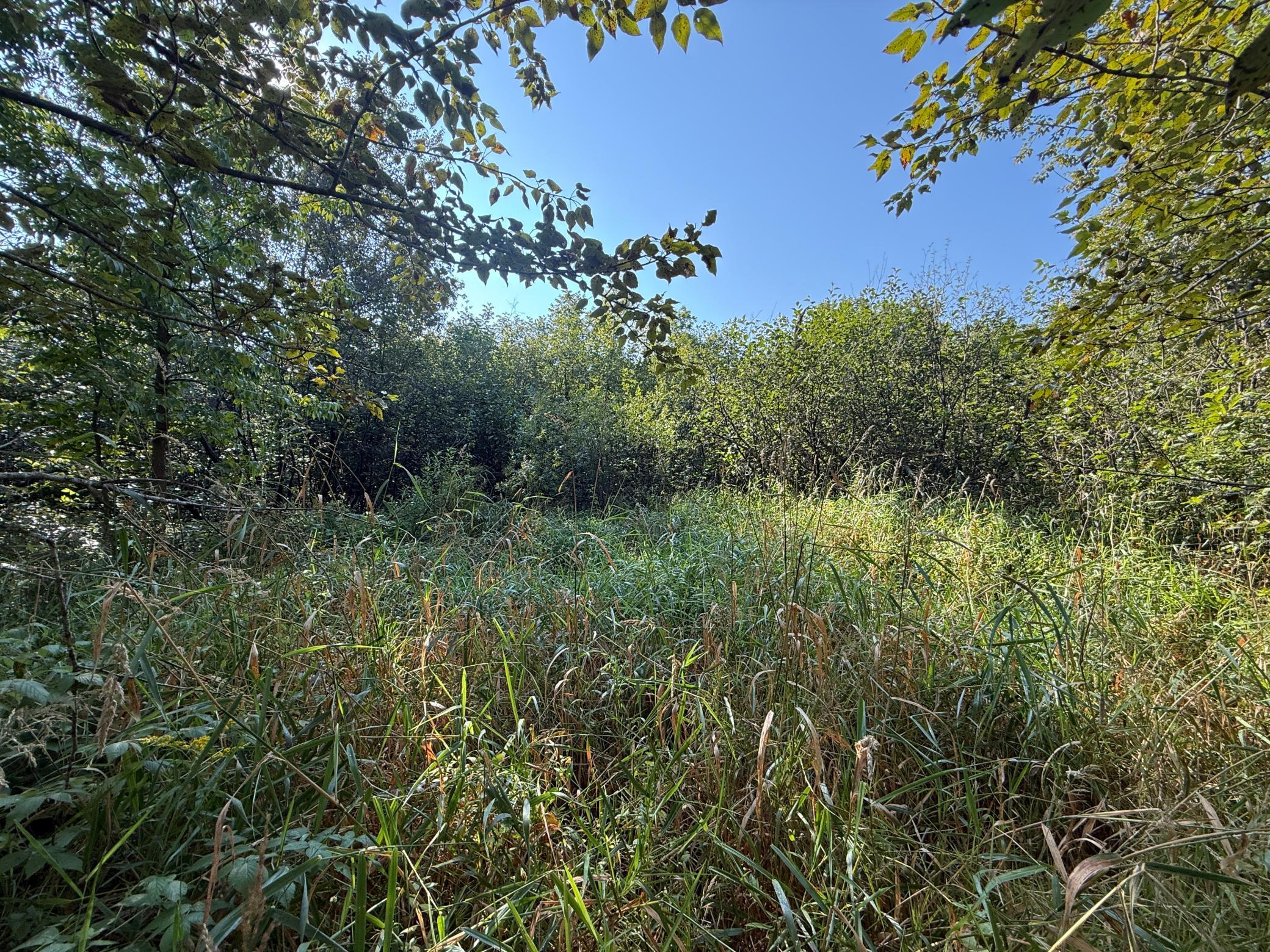 Tbd Hwy 2 Property Photo 48