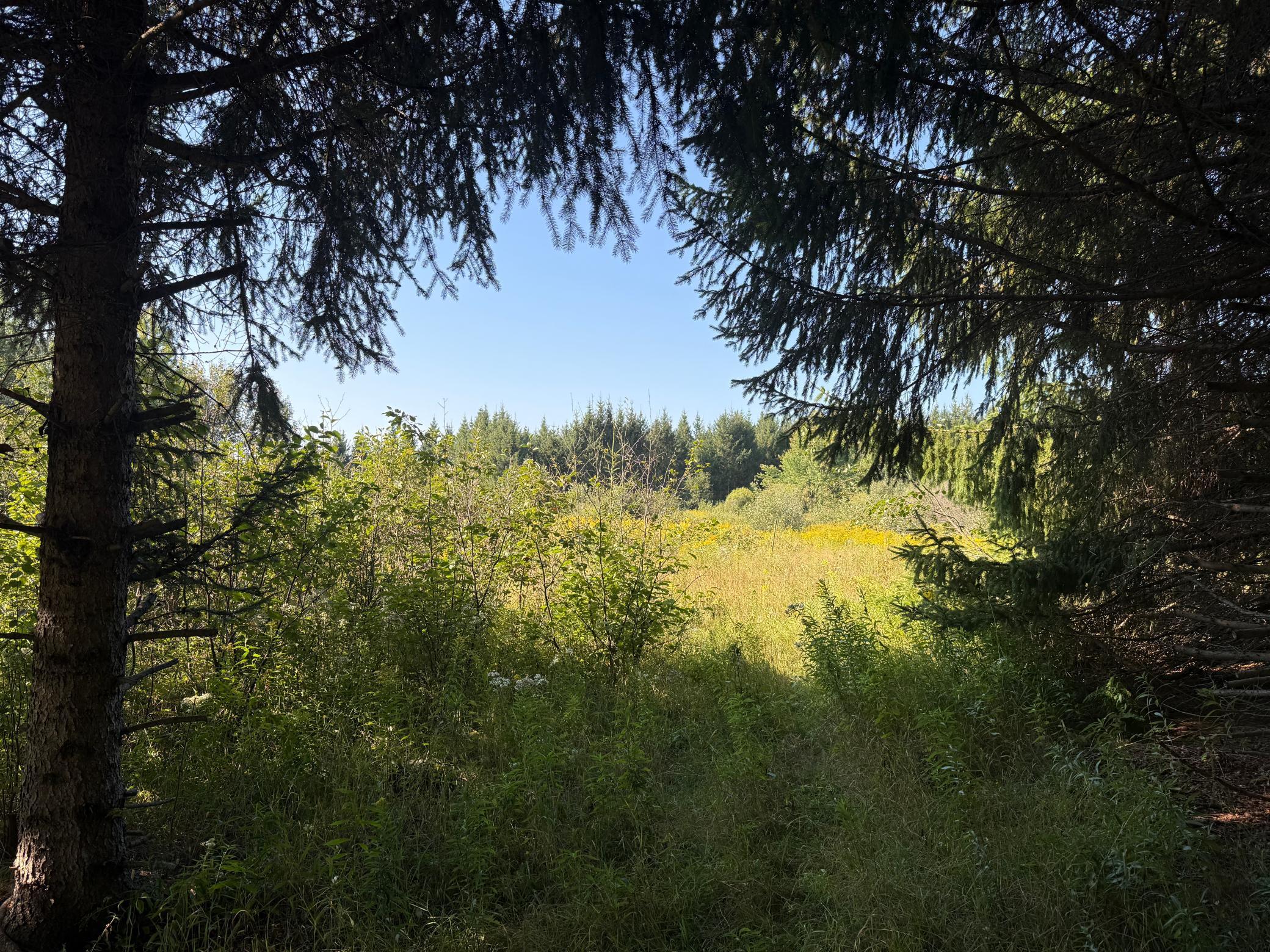 Tbd Hwy 2 Property Photo 49