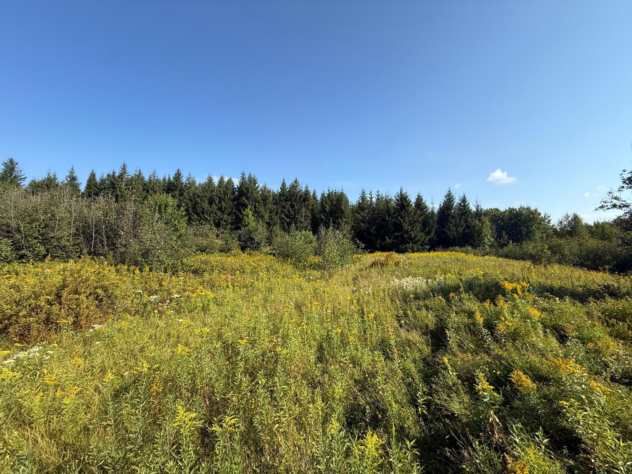 Tbd Hwy 2 Property Photo 50