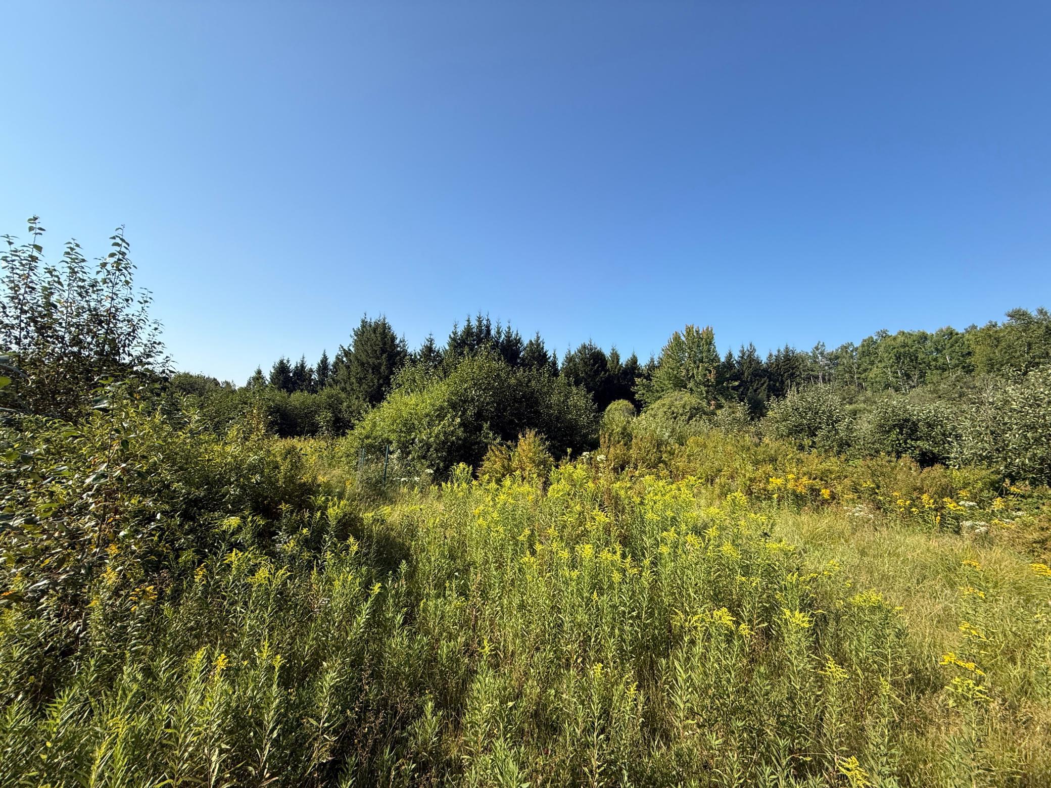 Tbd Hwy 2 Property Photo 51