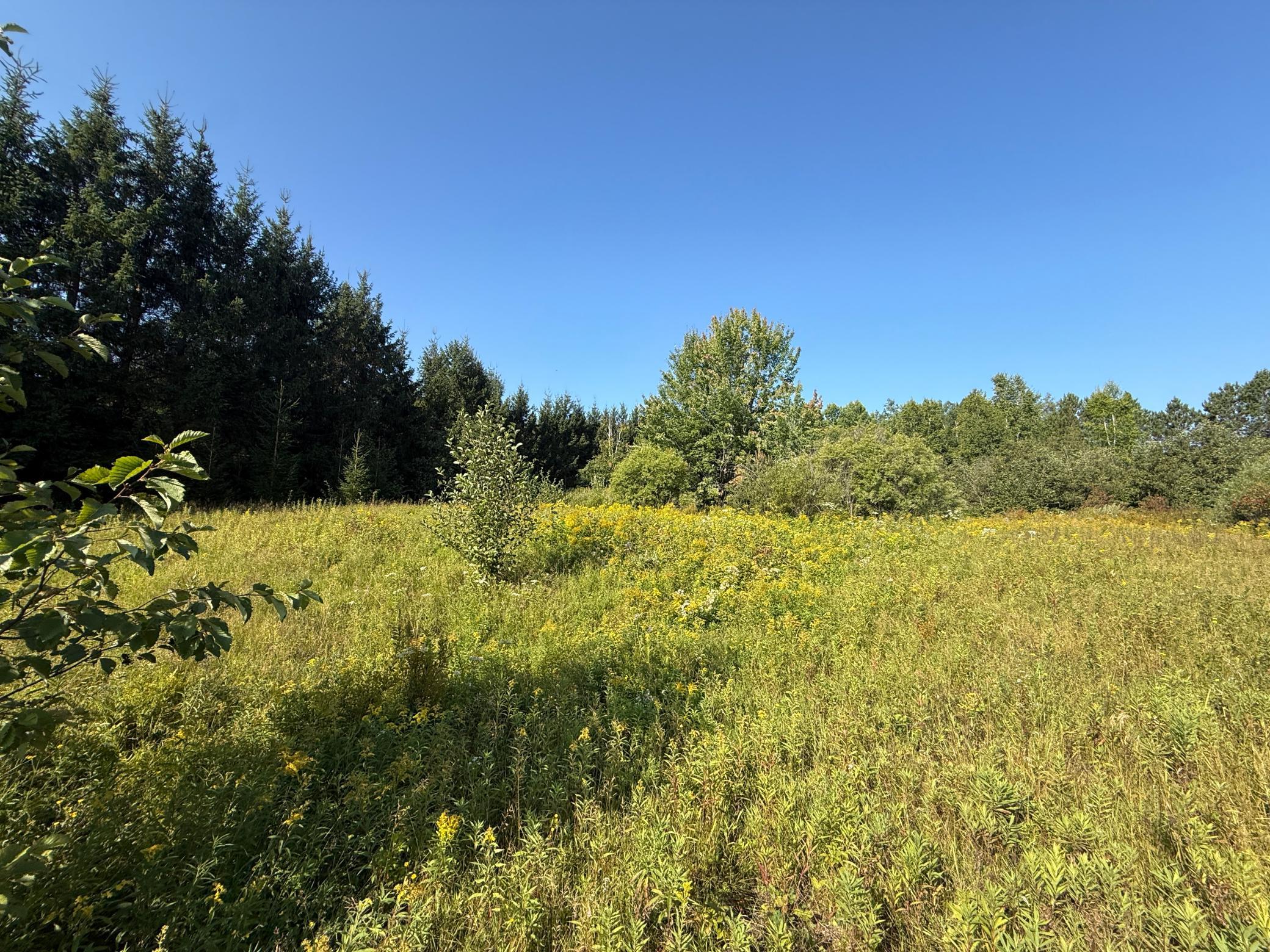 Tbd Hwy 2 Property Photo 52