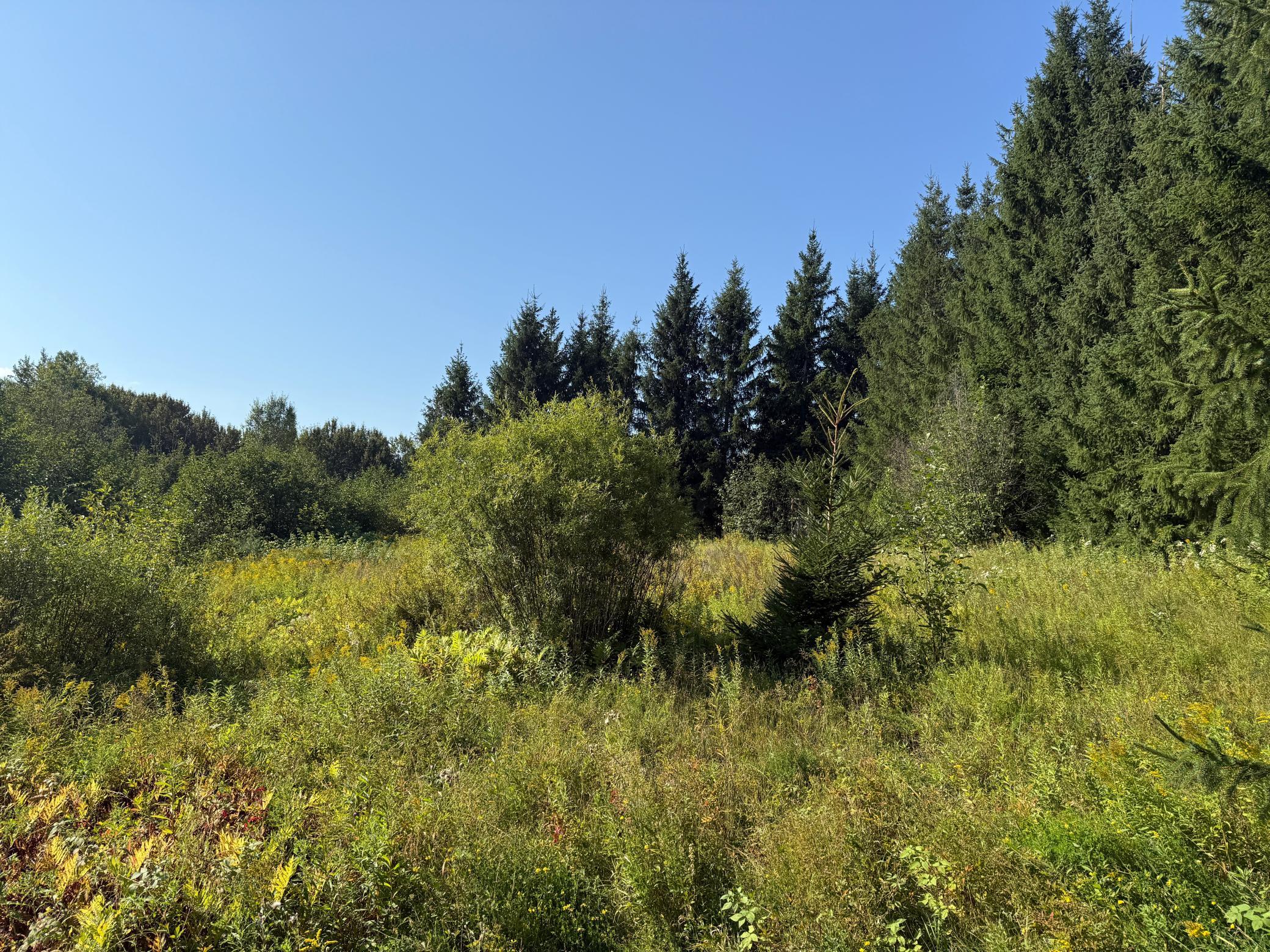 Tbd Hwy 2 Property Photo 53