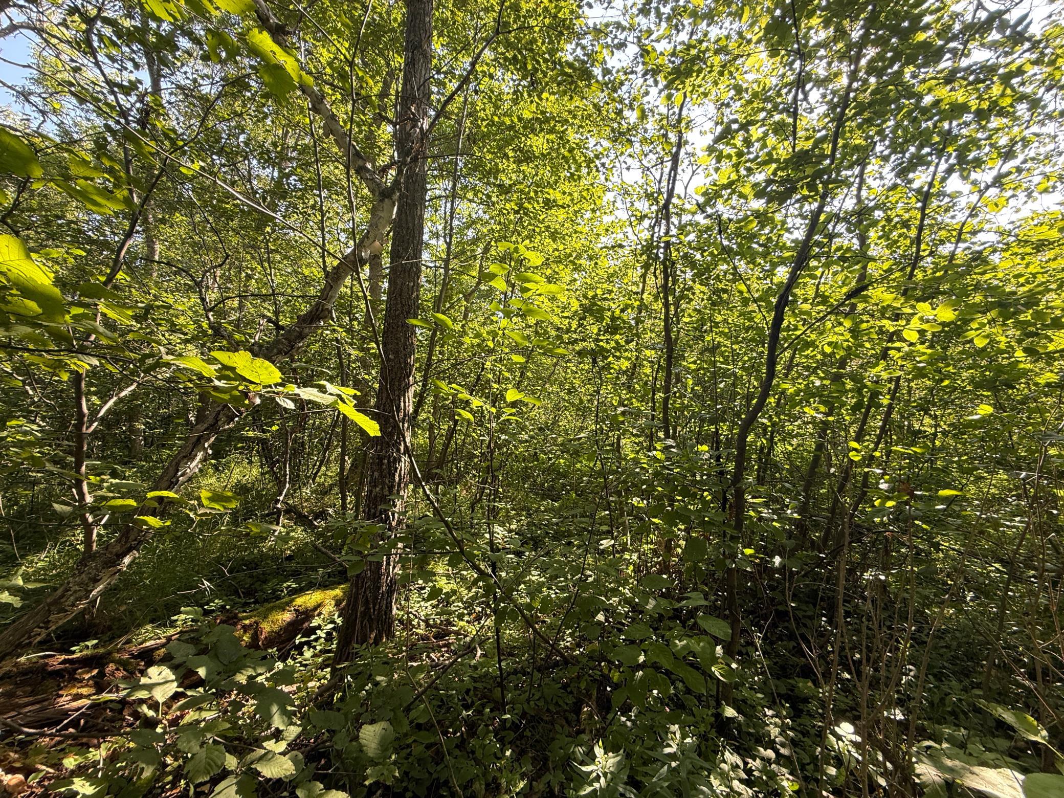 Tbd Hwy 2 Property Photo 55