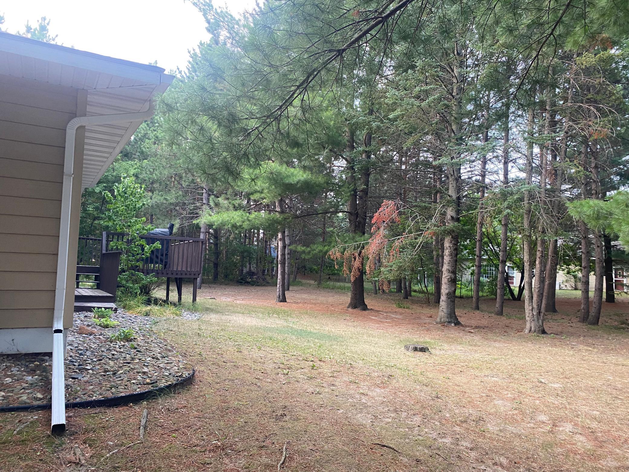 502 Birch Avenue Property Photo 24