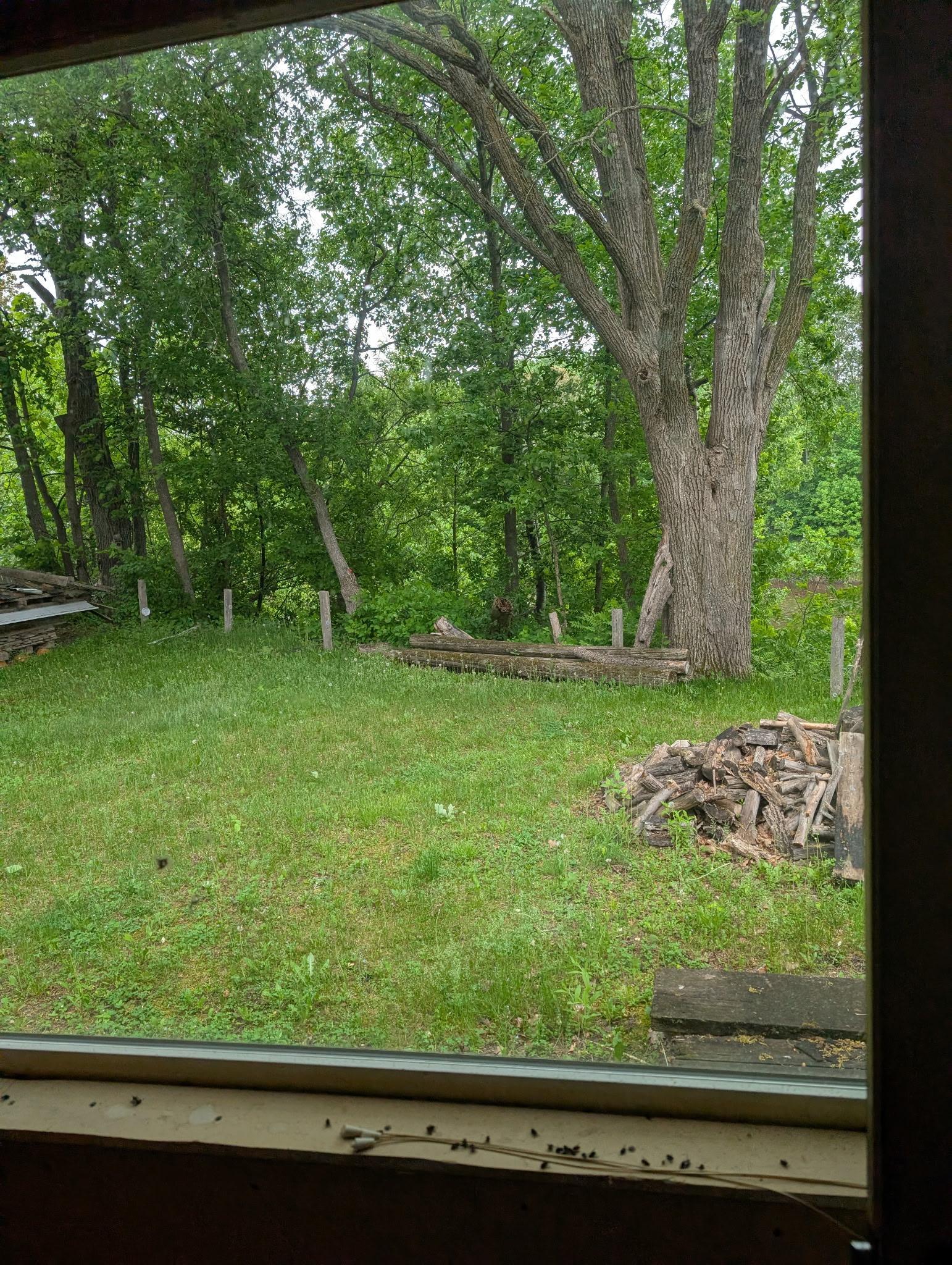 100 Cedar Street Property Photo 7