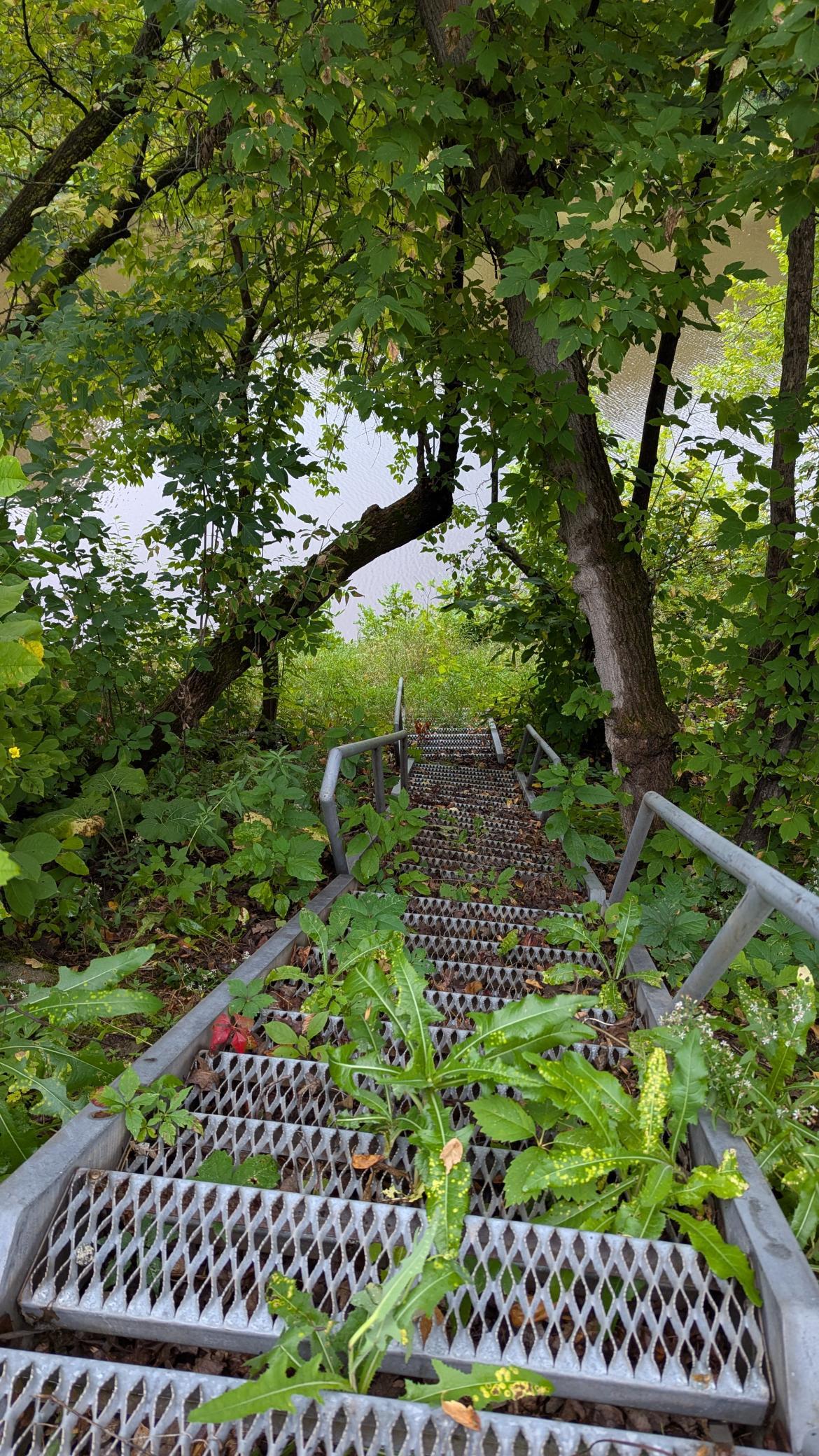 100 Cedar Street Property Photo 34