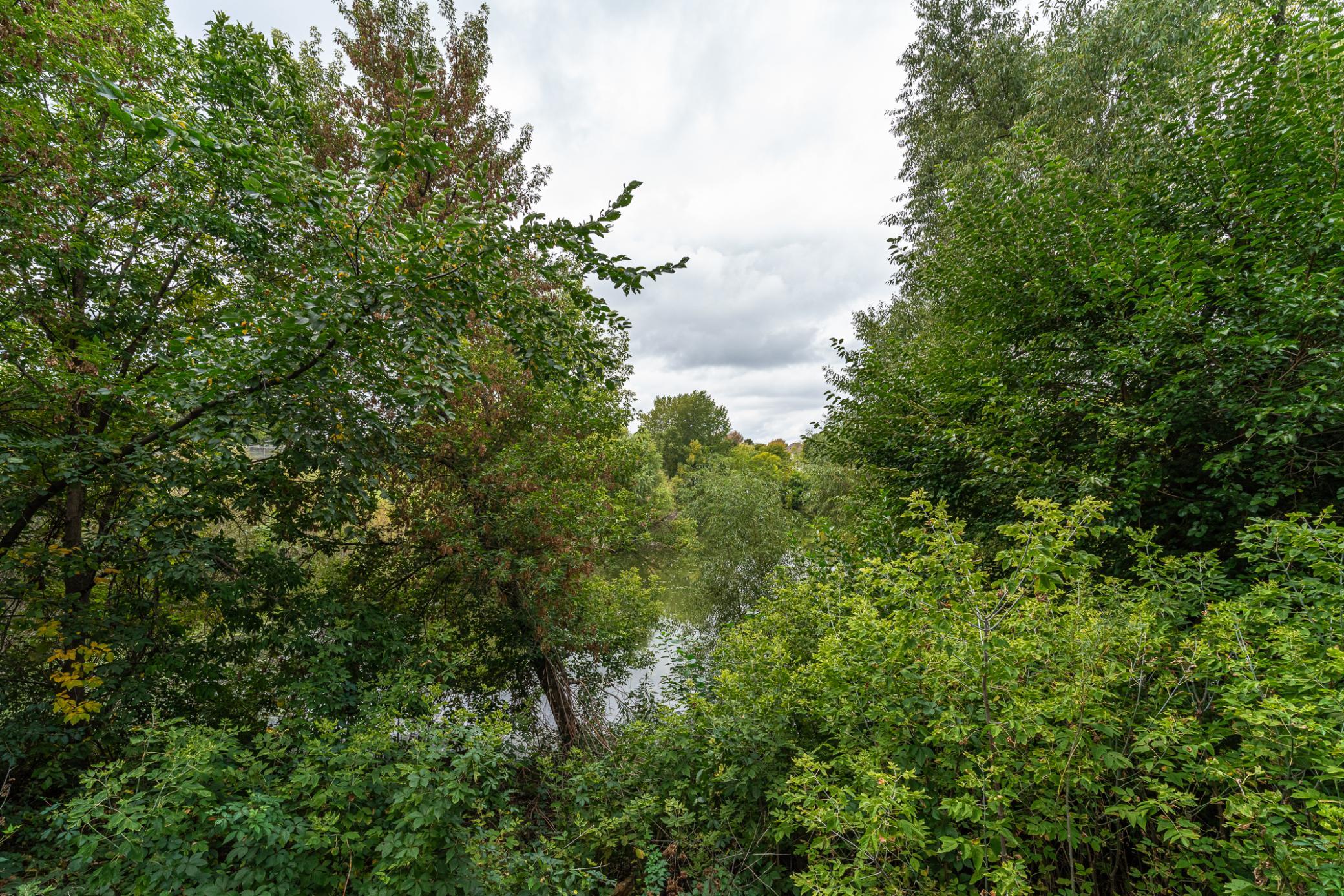 8348 Foxberry Drive Property Photo 63