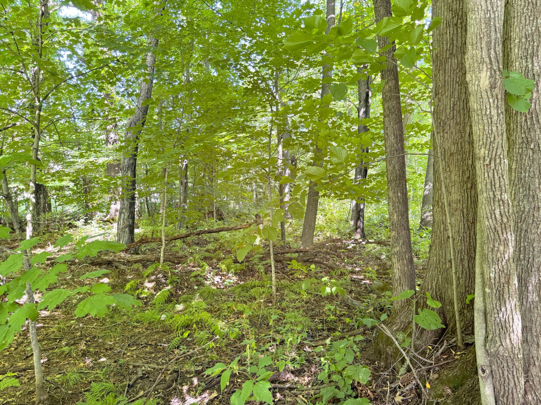 38566 241st Street Property Photo 57