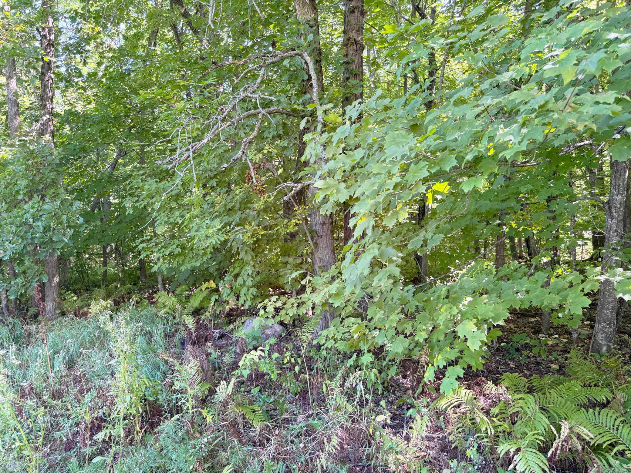 38566 241st Street Property Photo 58