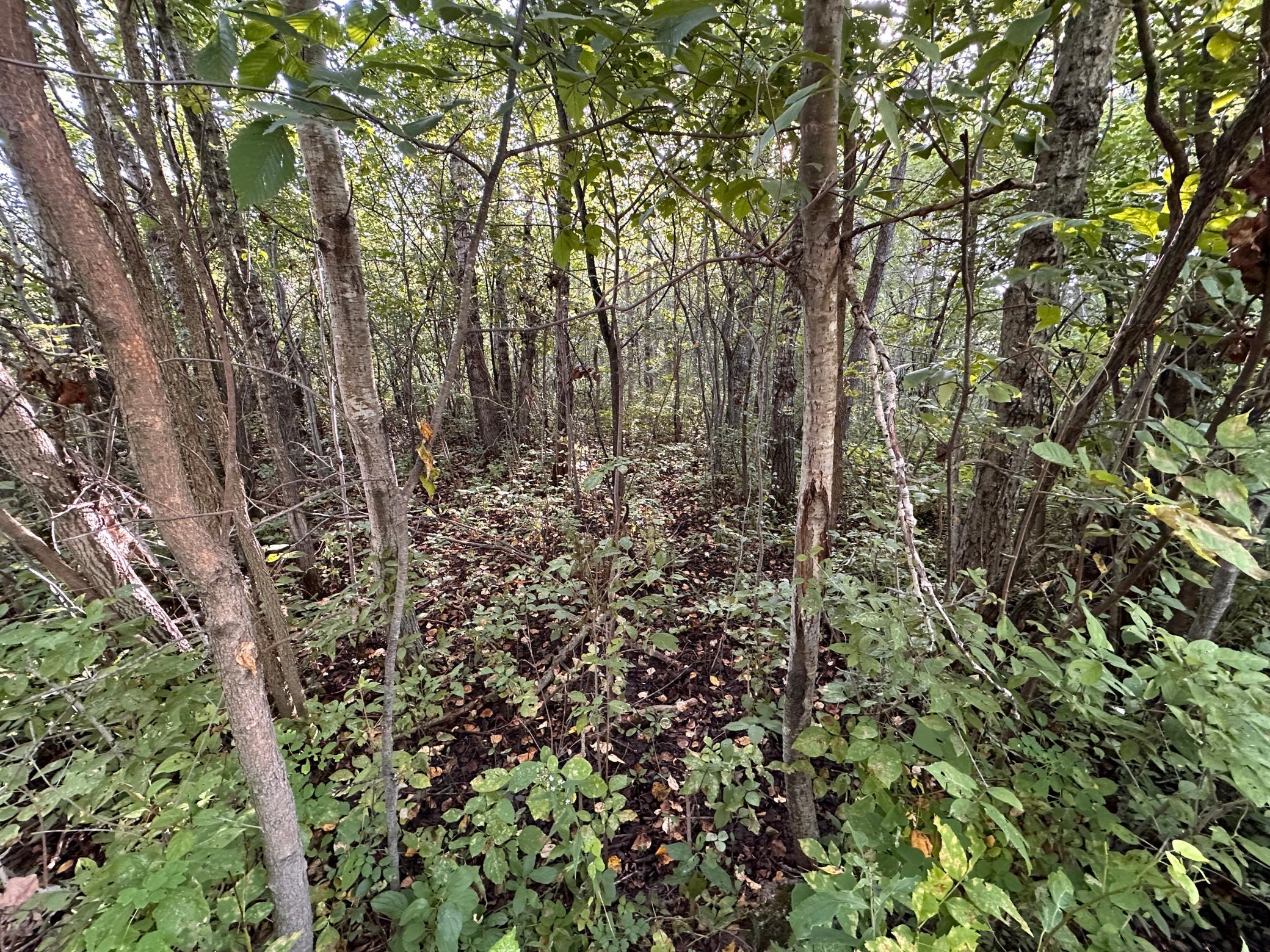 40099 Us-71 Property Photo 14