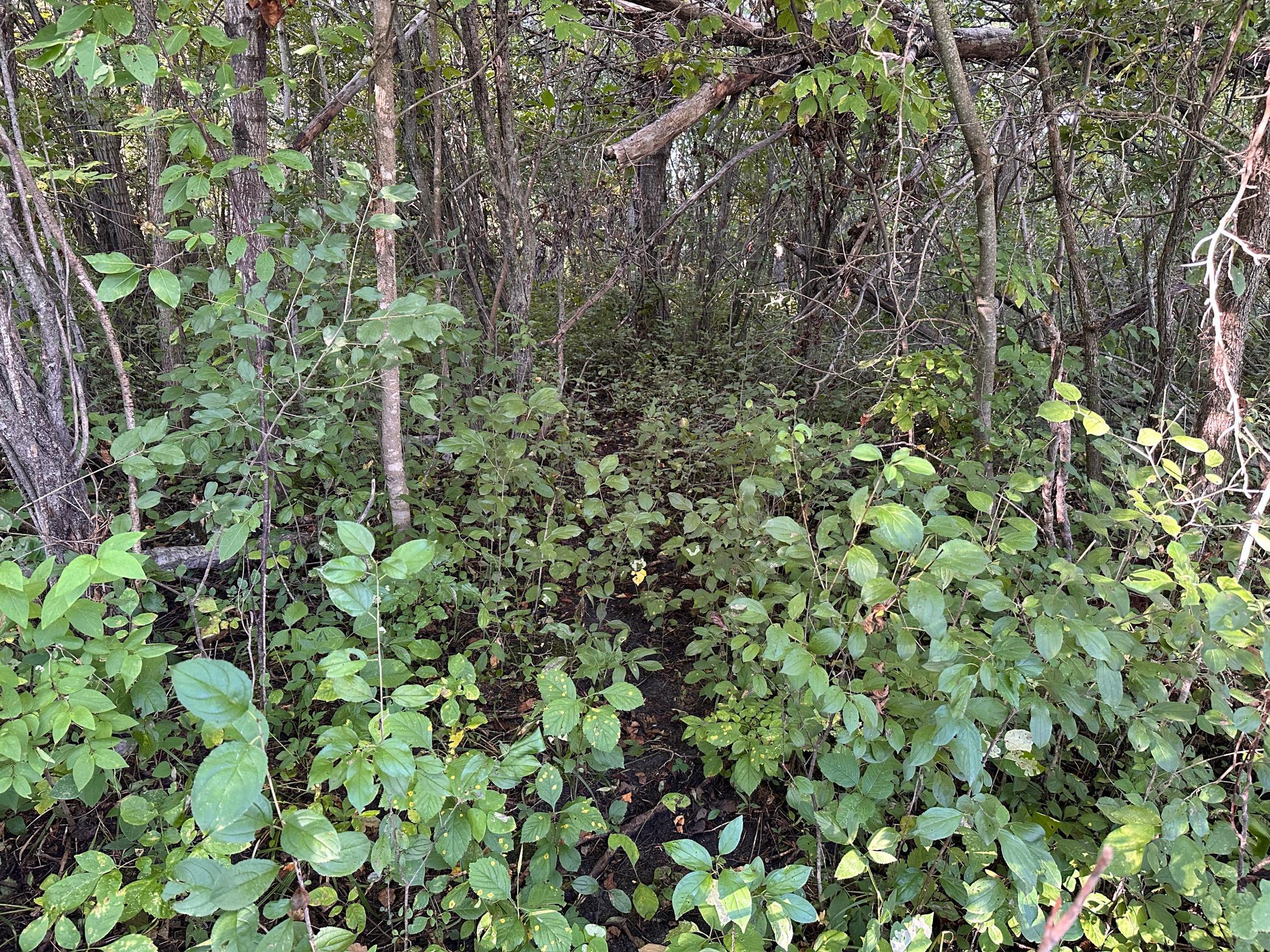 40099 Us-71 Property Photo 20