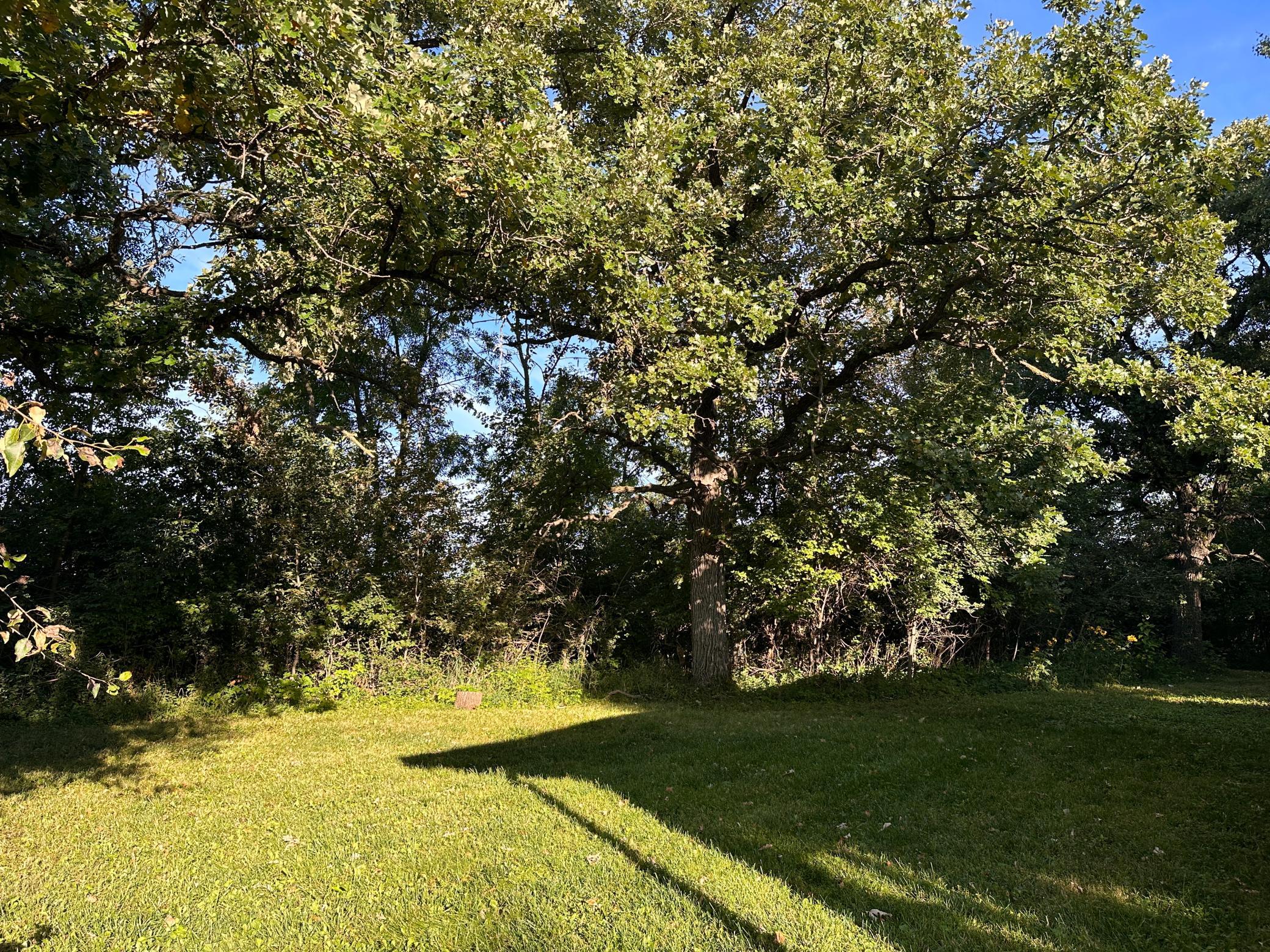 40099 Us-71 Property Photo 22